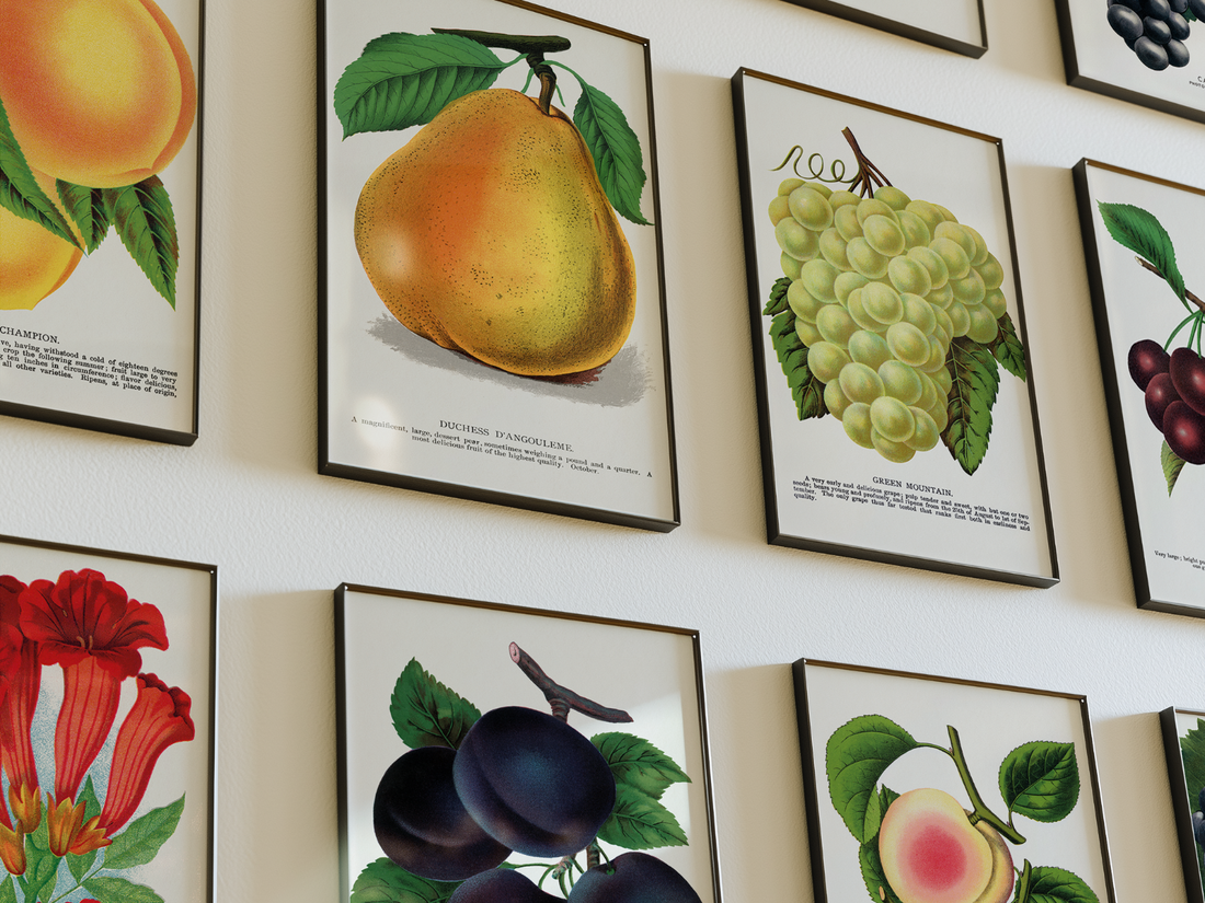 Image of gallery wall with posters by Rochester Lithographing and Printing Company