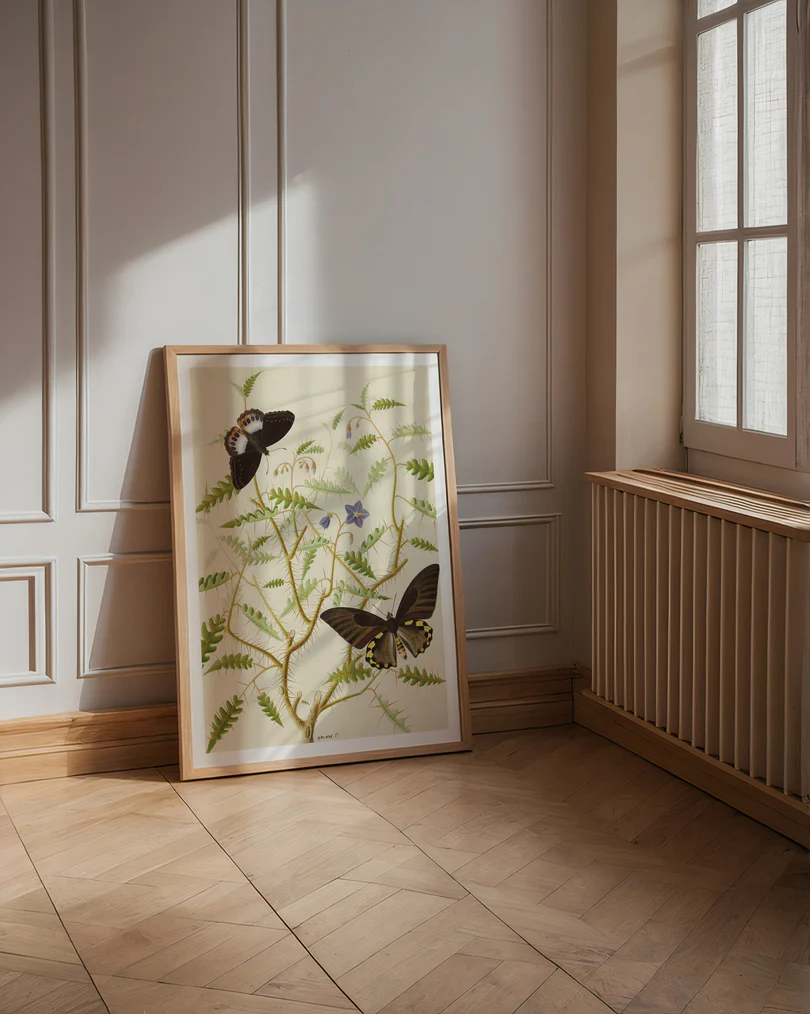 Image of poster Two Exotic Butterflies on a Blooming Bush by Hermanus de Wit