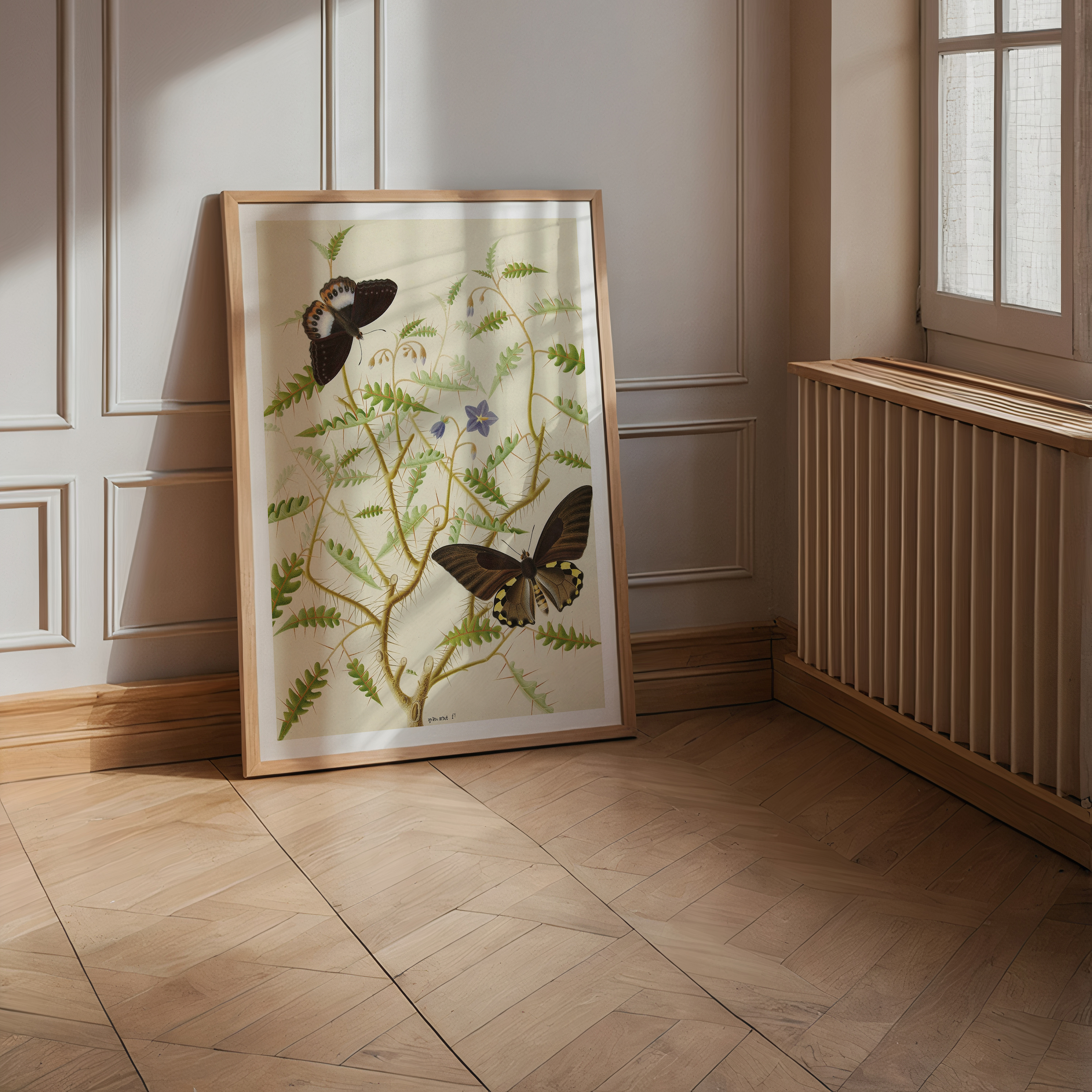 Image of butterfly poster frame 70x100 cm Posterton