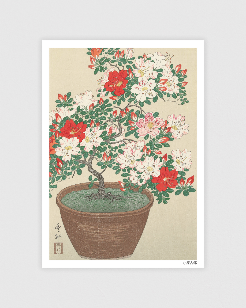 Bild på Blooming azalea in brown pot