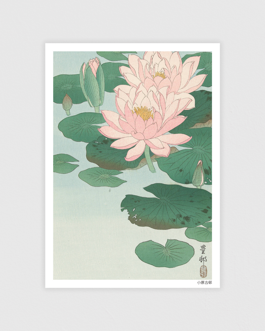 Bild på Flowering Water Lily