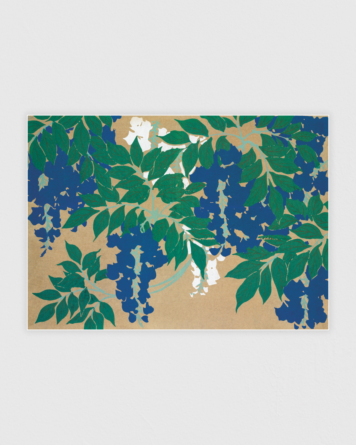 Wisteria from Momoyogusa