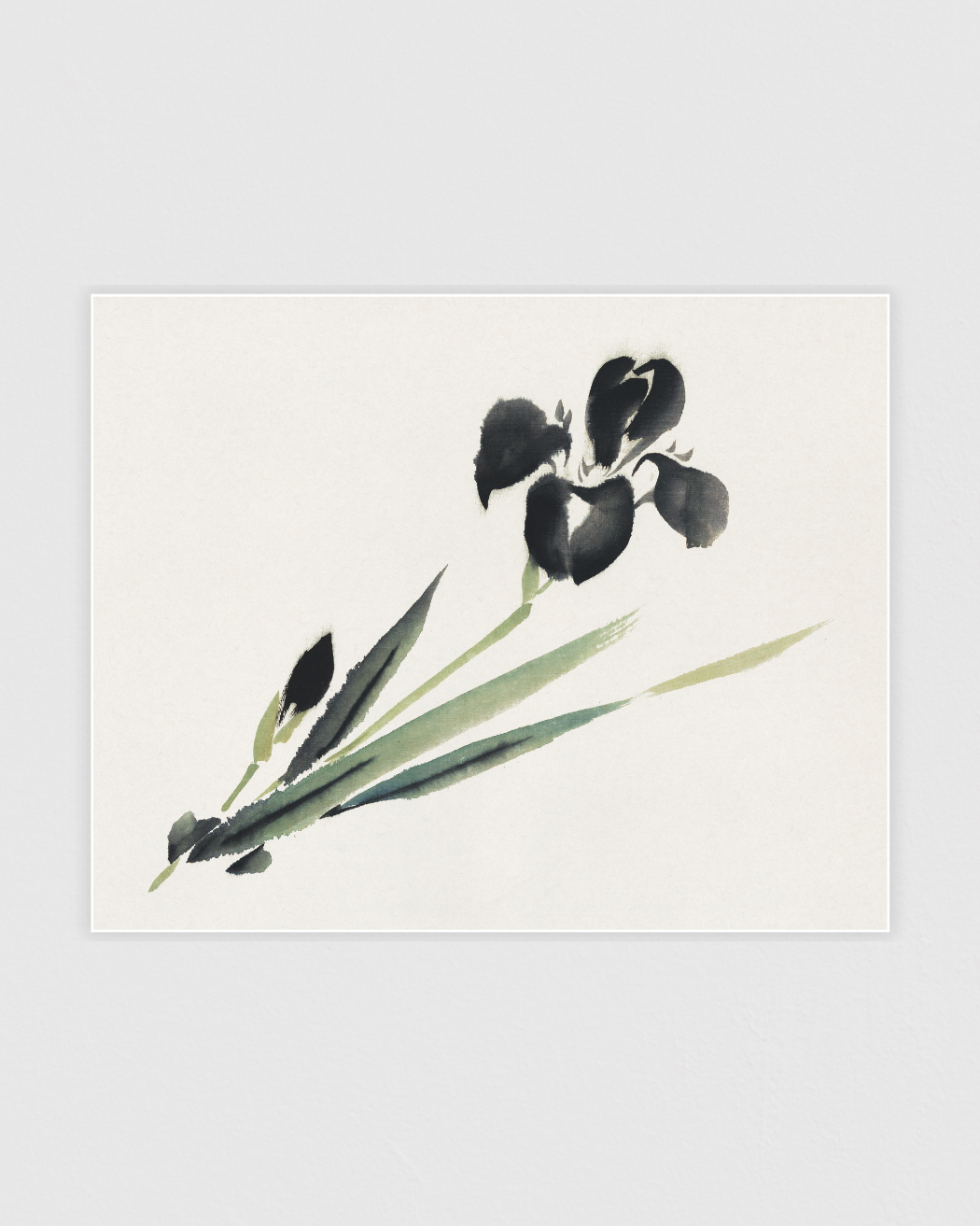 Bild på Aesthetic iris