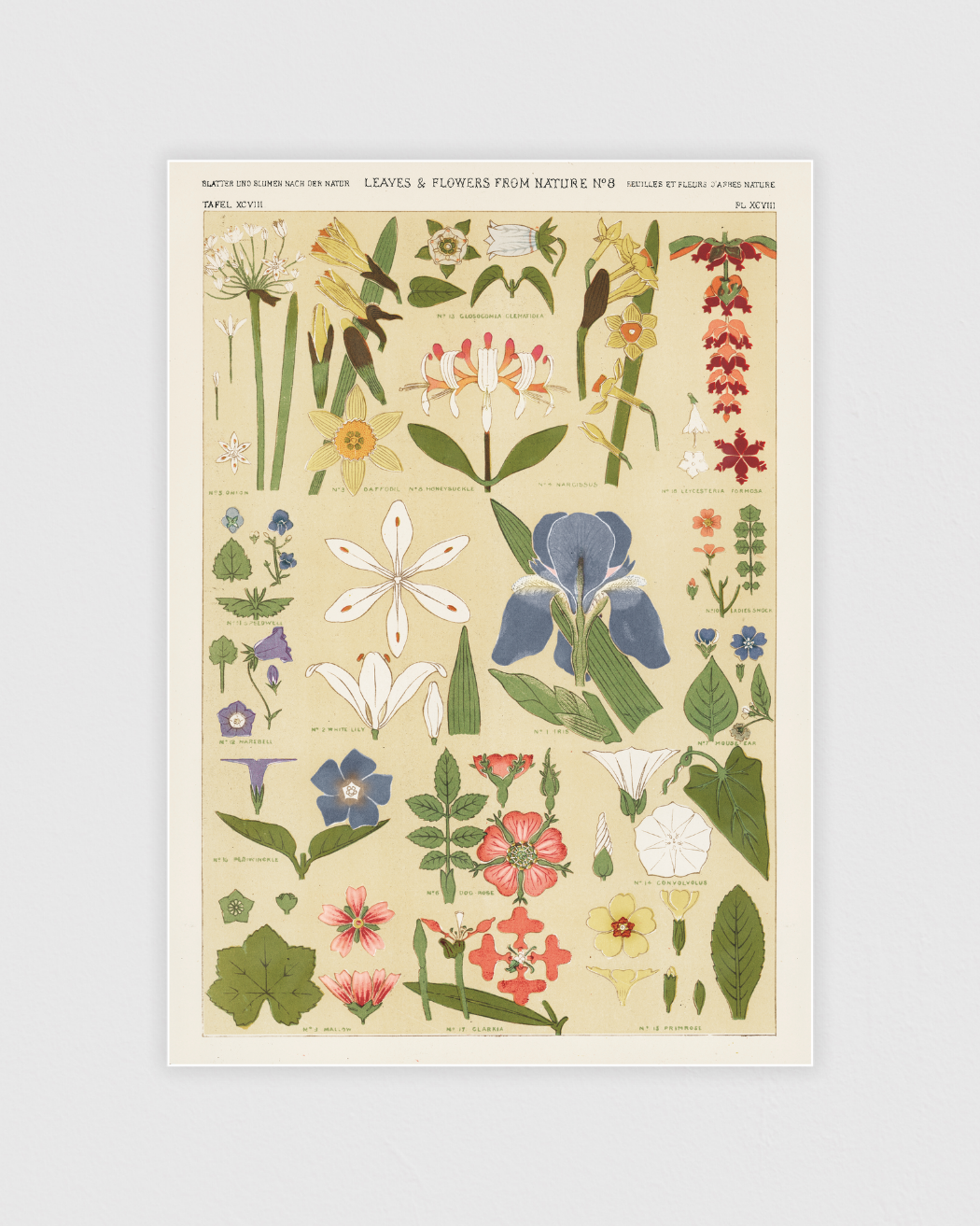 Bild på Leaves and Flowers from Nature No.8