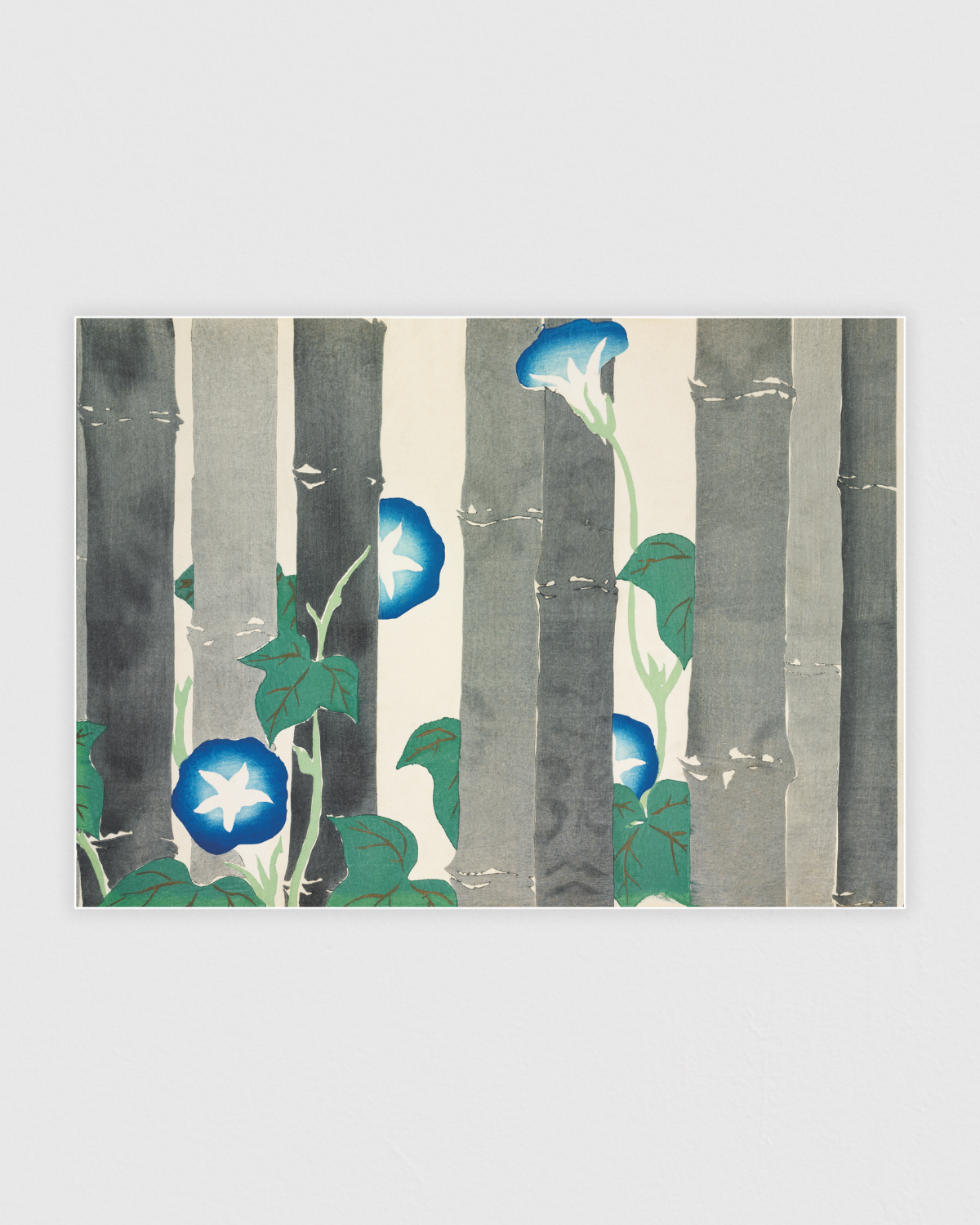 Morning glories from Momoyogusa