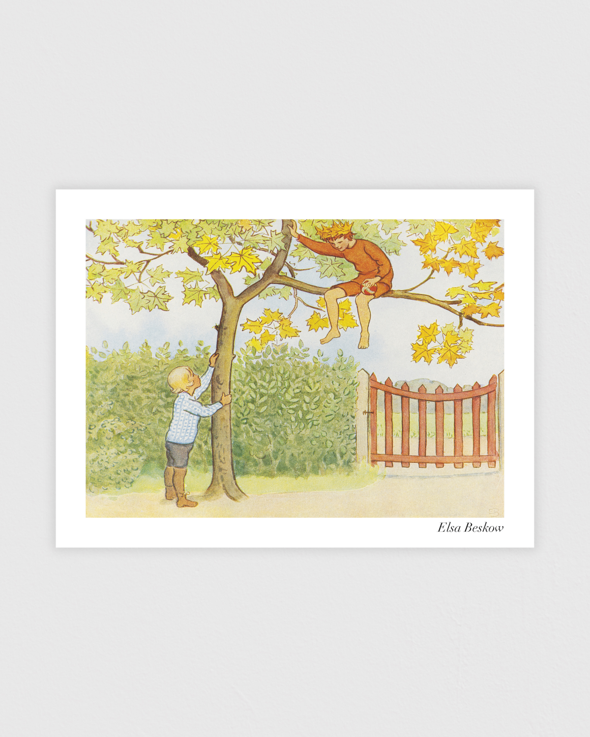 Bild på Lasse-liten i Trädgården - Gossen i trädet