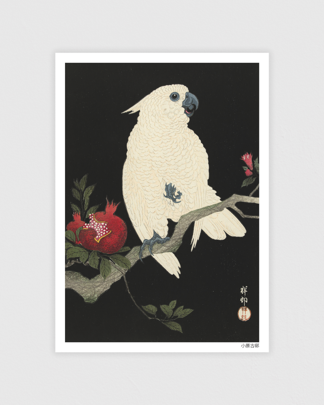 Bild på Cockatoo and pomegranate