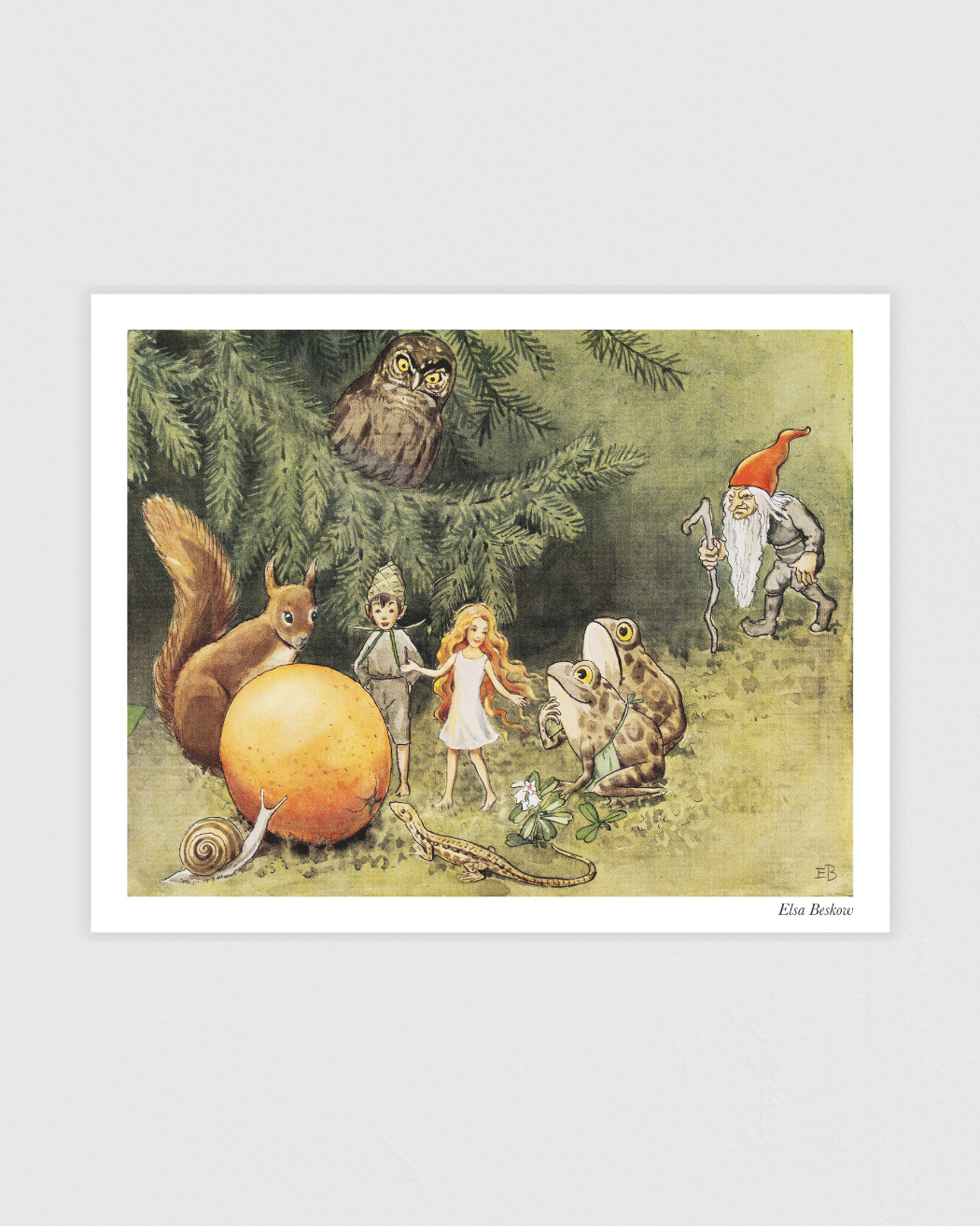 Bild på Solägget - Kotte med nyfikna vänner