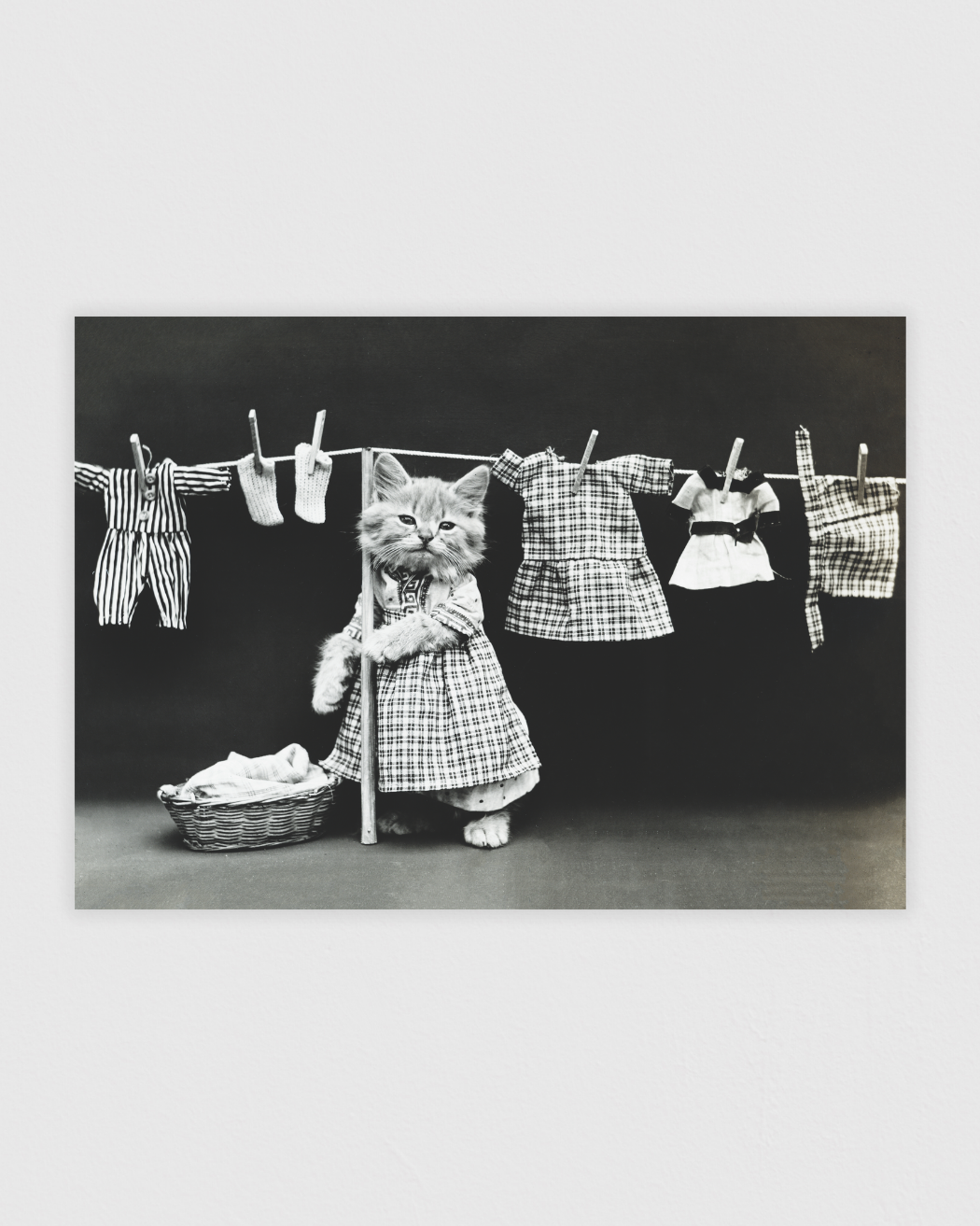 Bild på Hanging up the wash