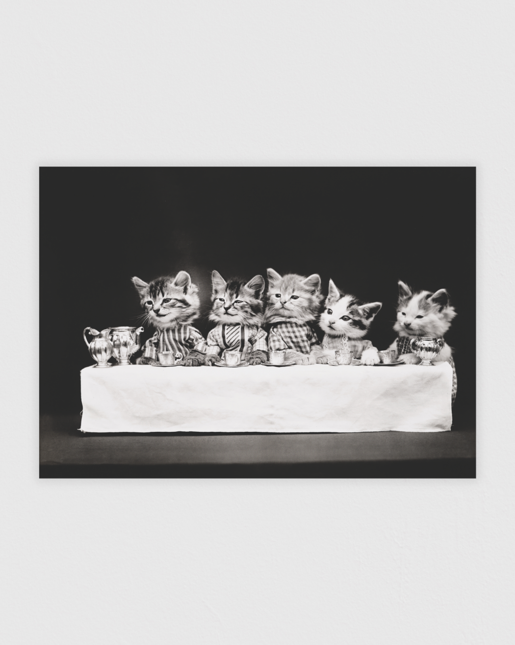 Bild på A hungry bunch