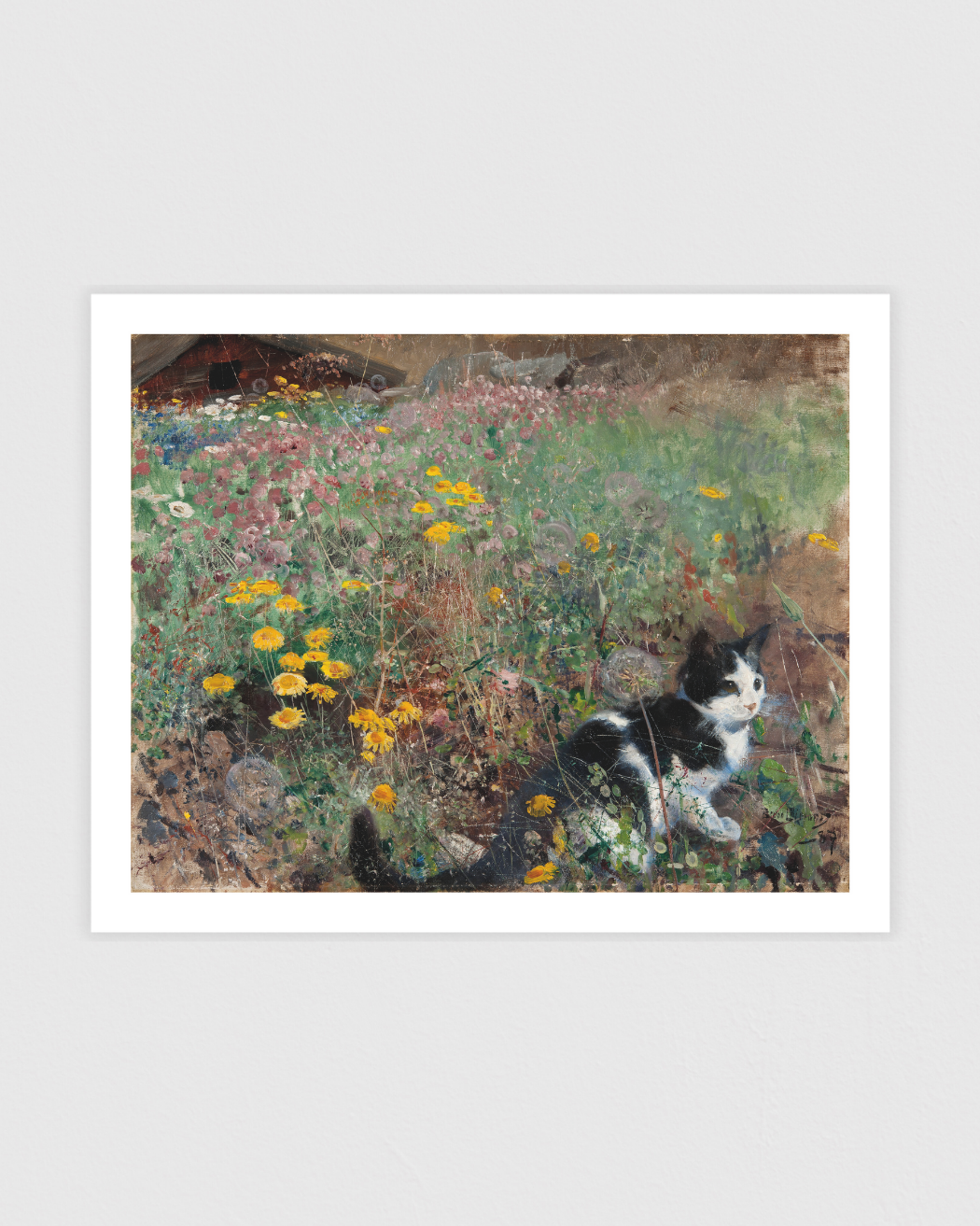 Bild på Katt på blomsteräng