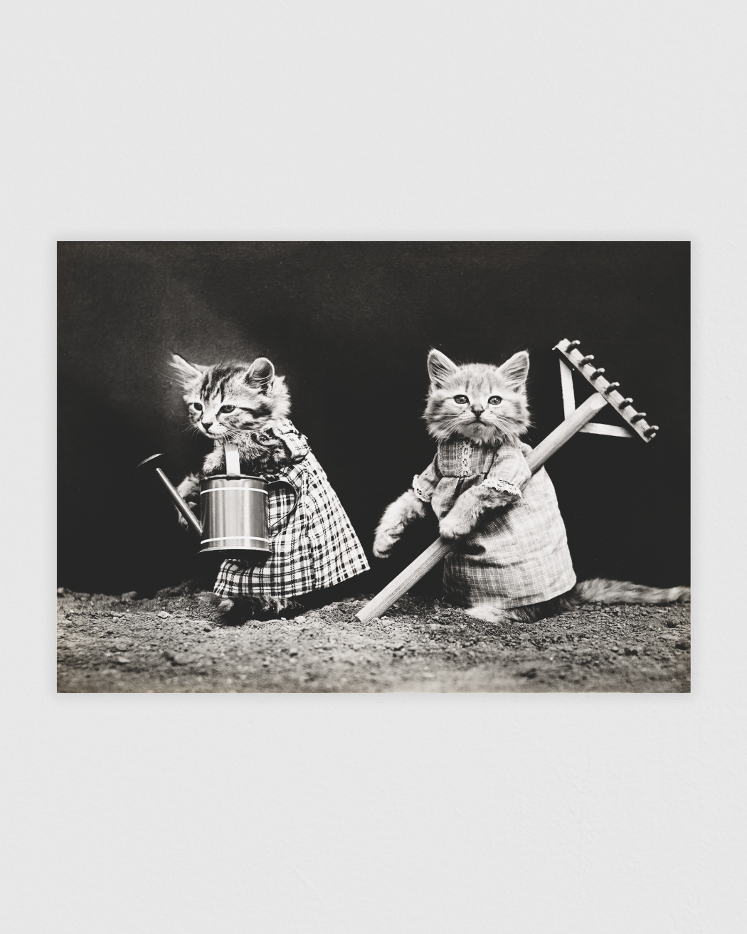 Bild på Planting time