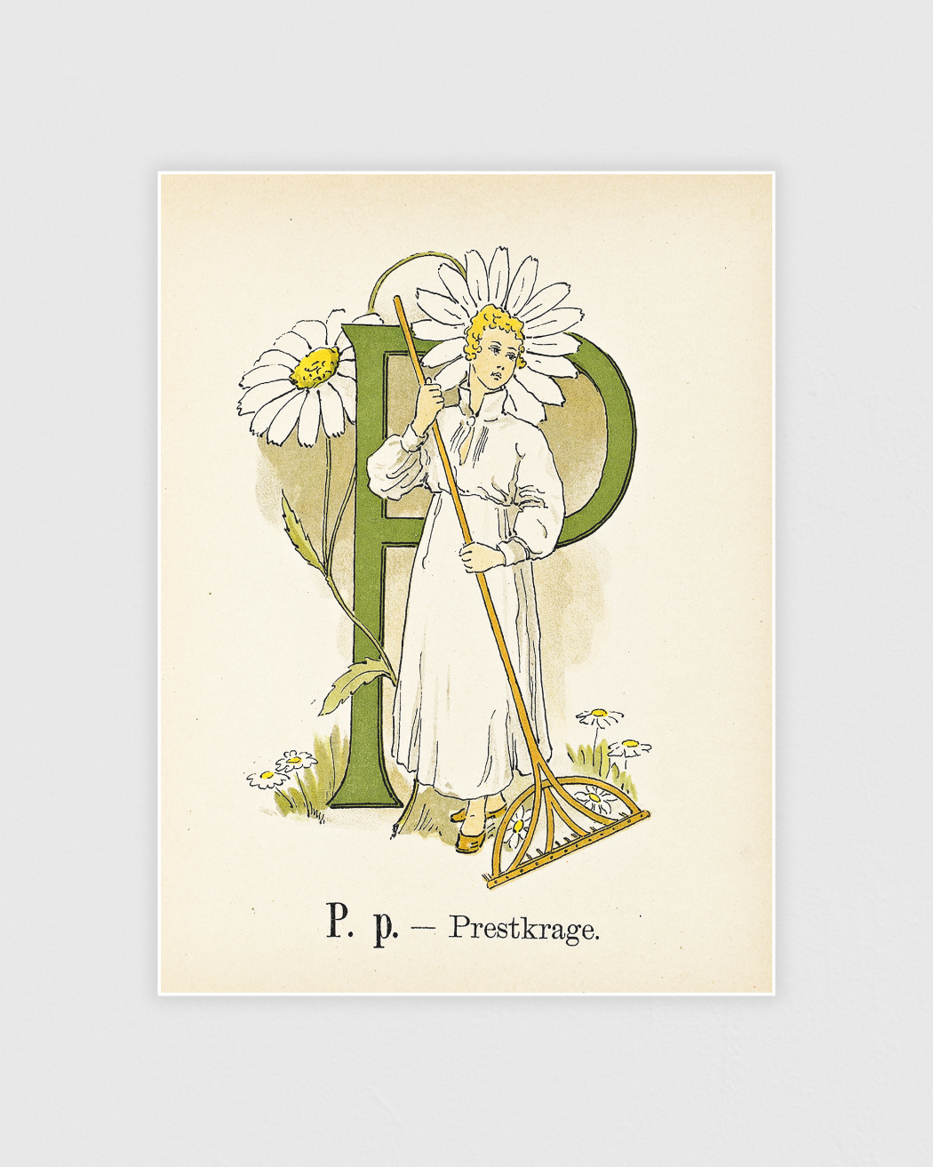 Bild på Prinsarnes blomsteralfabet - P