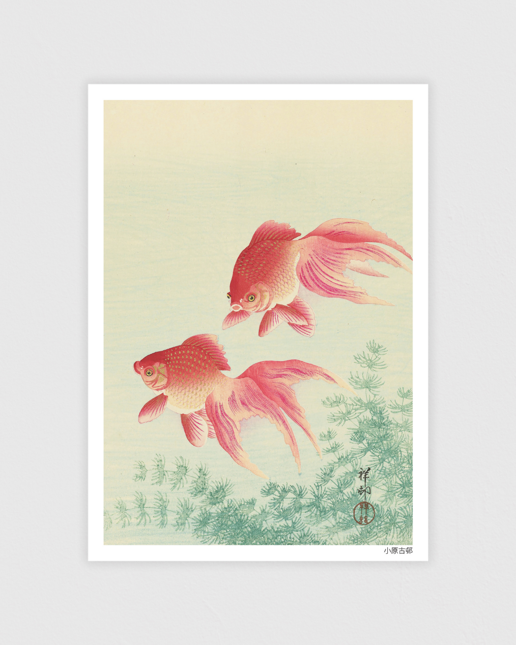 Bild på Two Veil Goldfish