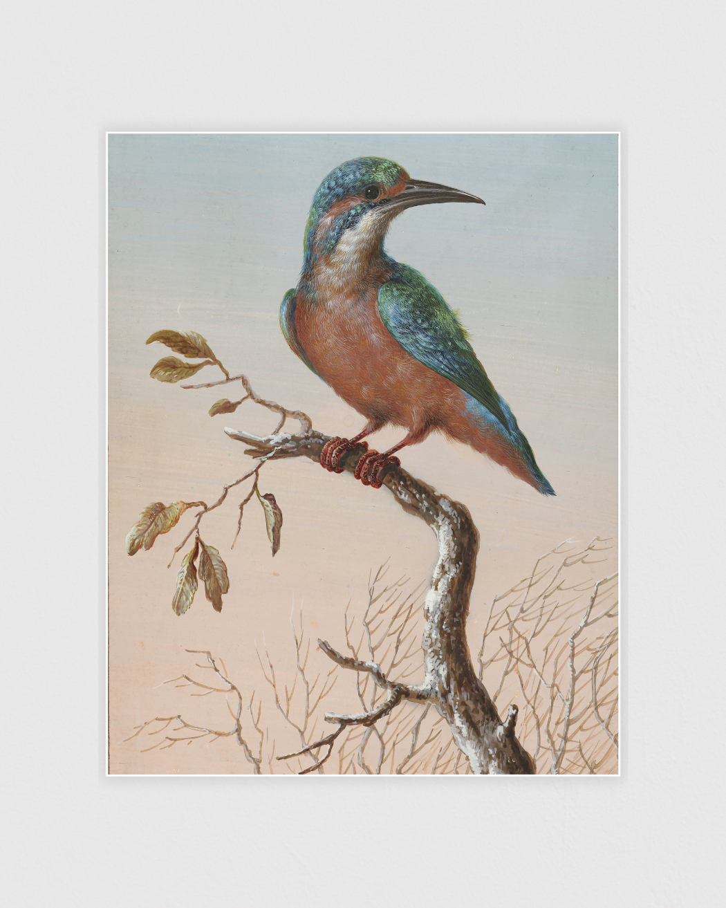 Bild på Common Kingfisher