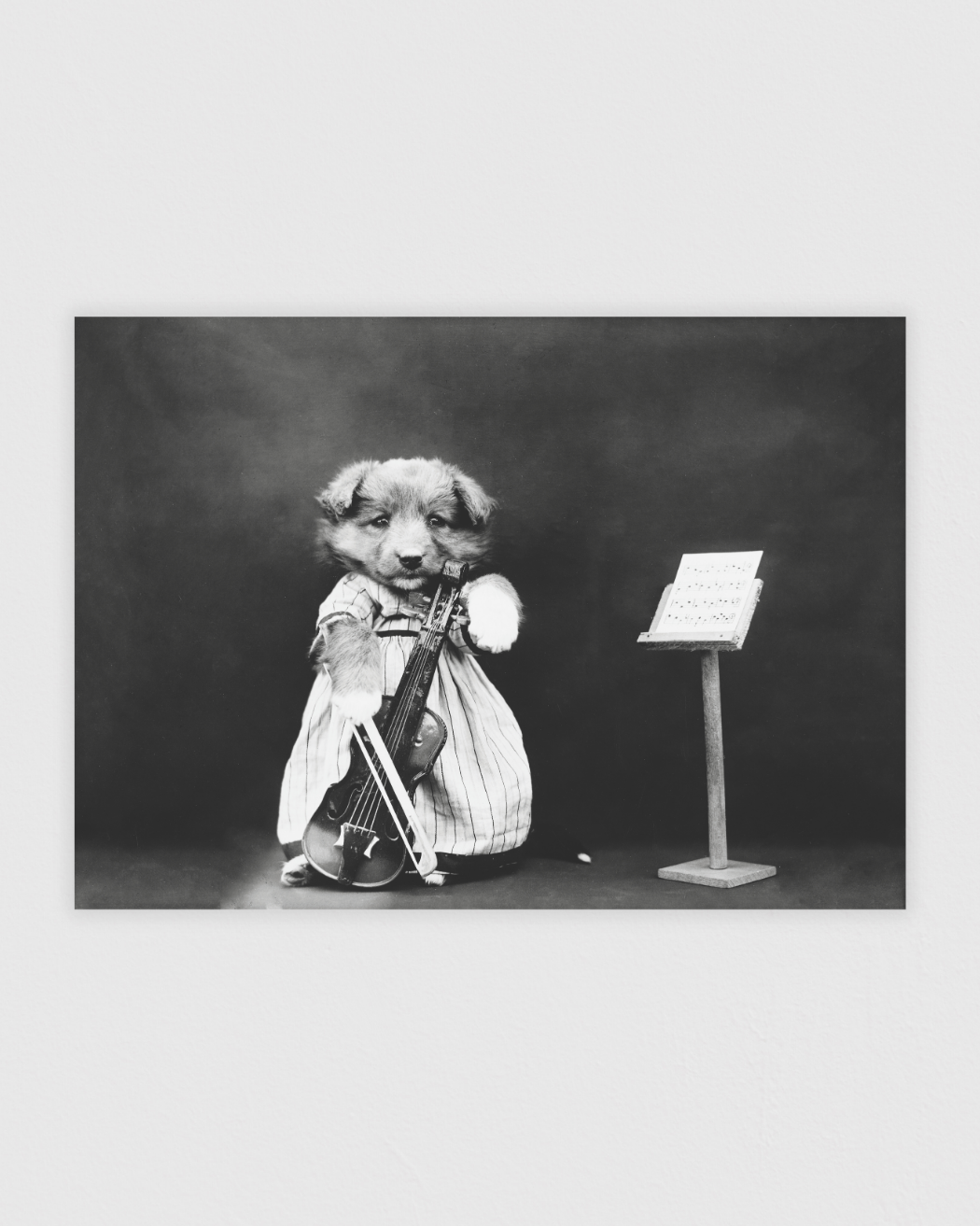 Bild på The fiddler