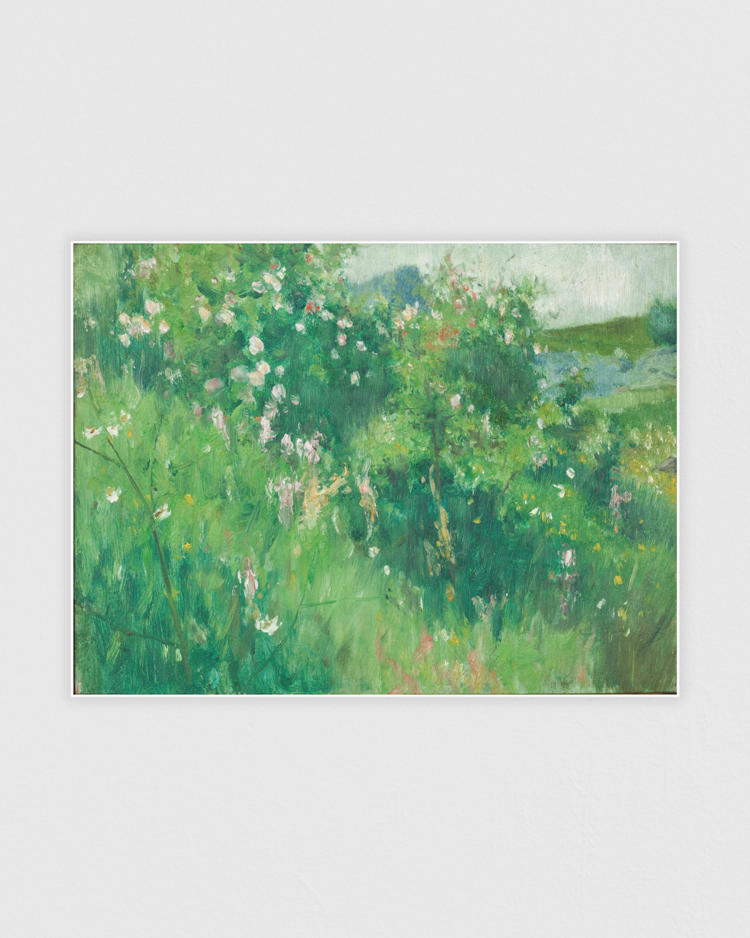 Bild på Blommande nyponbuskar, Hoga, Tjörn