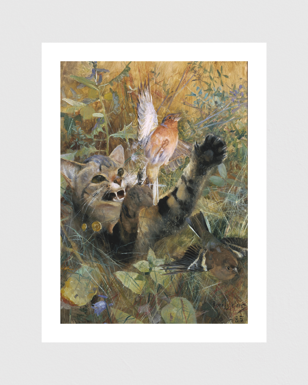 Bild på En katt och en bofink