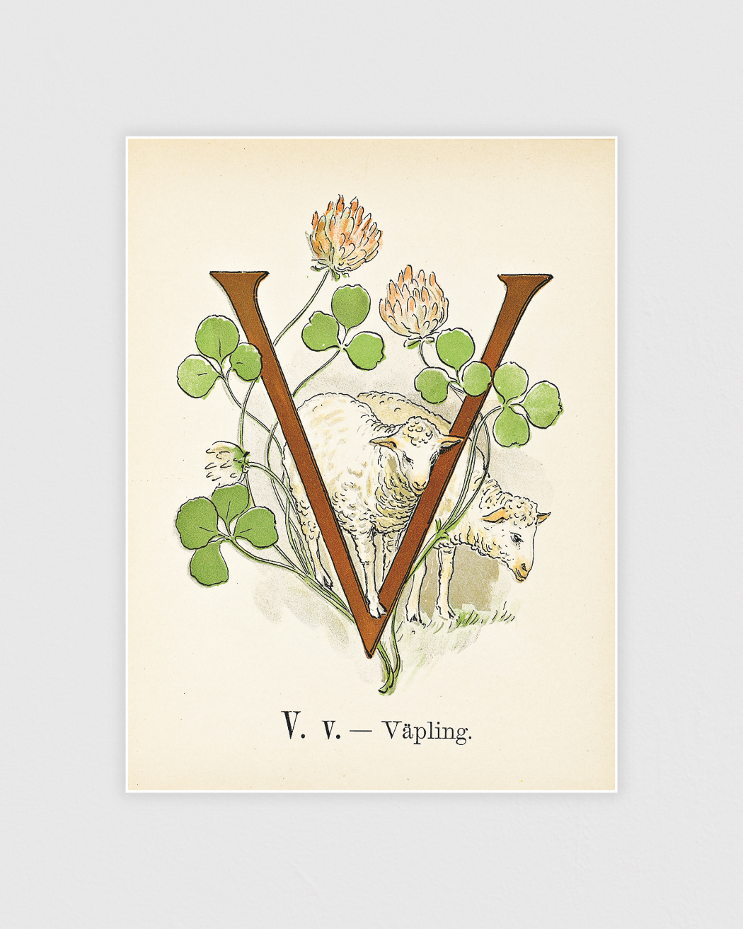 Bild på Prinsarnes blomsteralfabet - V