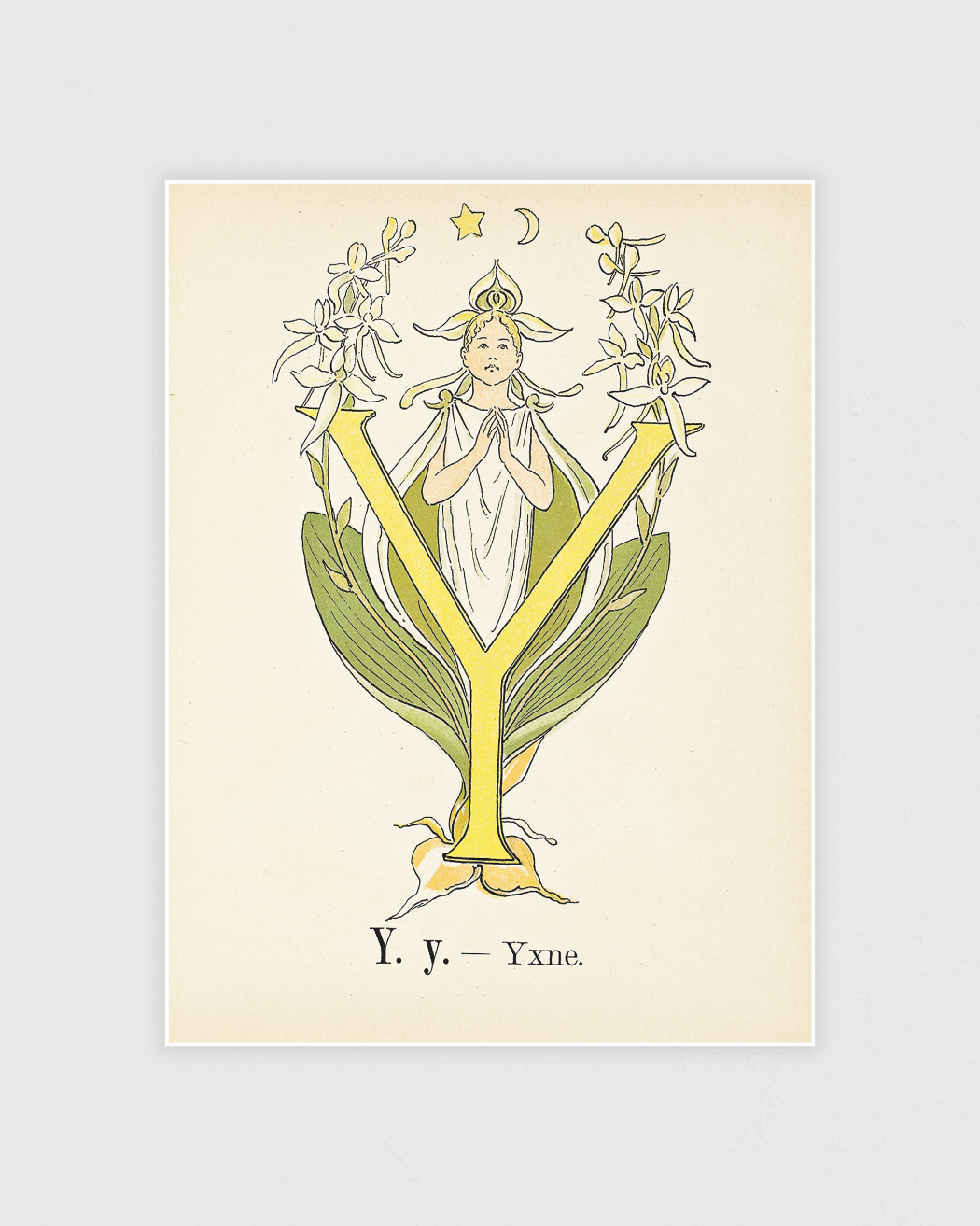 Bild på Prinsarnes blomsteralfabet - Y