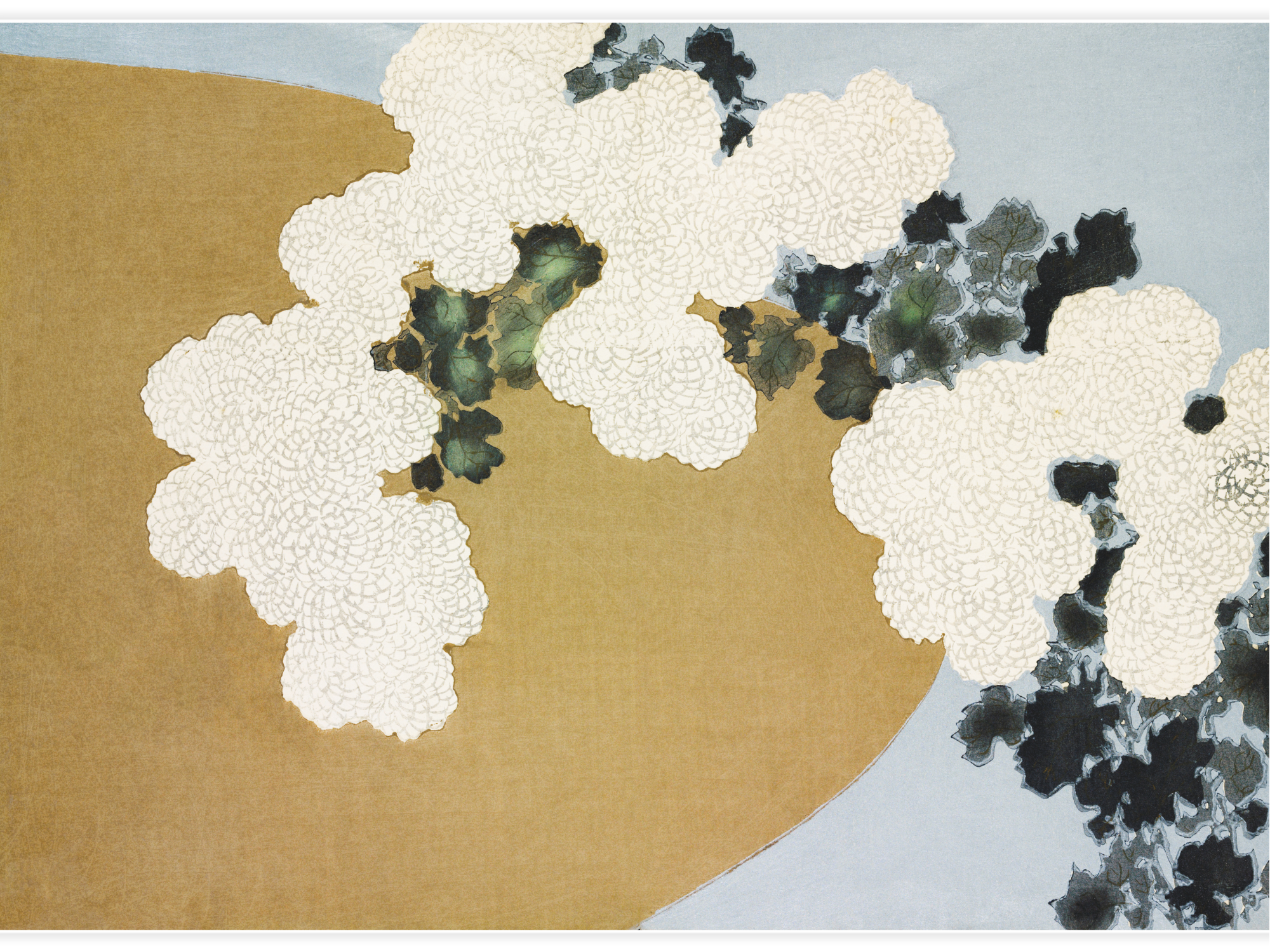 Blossom from Momoyogusa