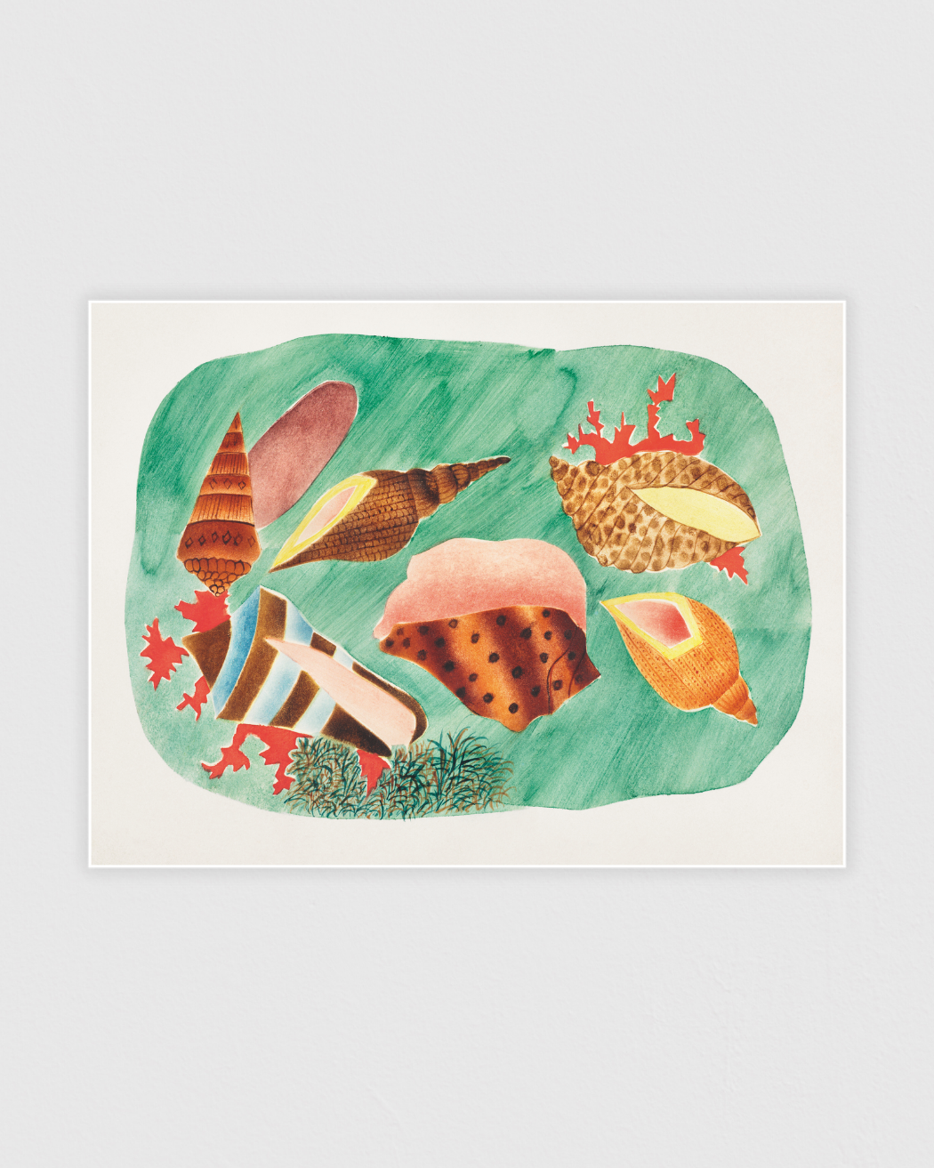 Bild på Shells in Seaweed