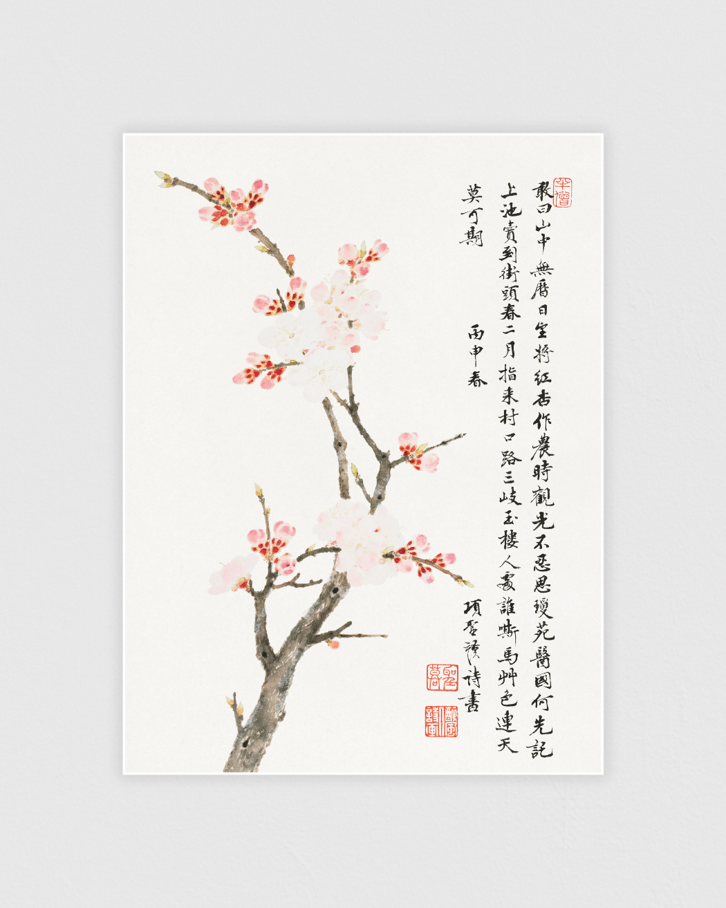 Bild på Chinese cherry blossom