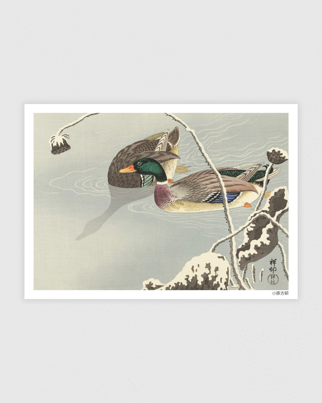 Bild på Two Mallards near a Snow Covered Lotus