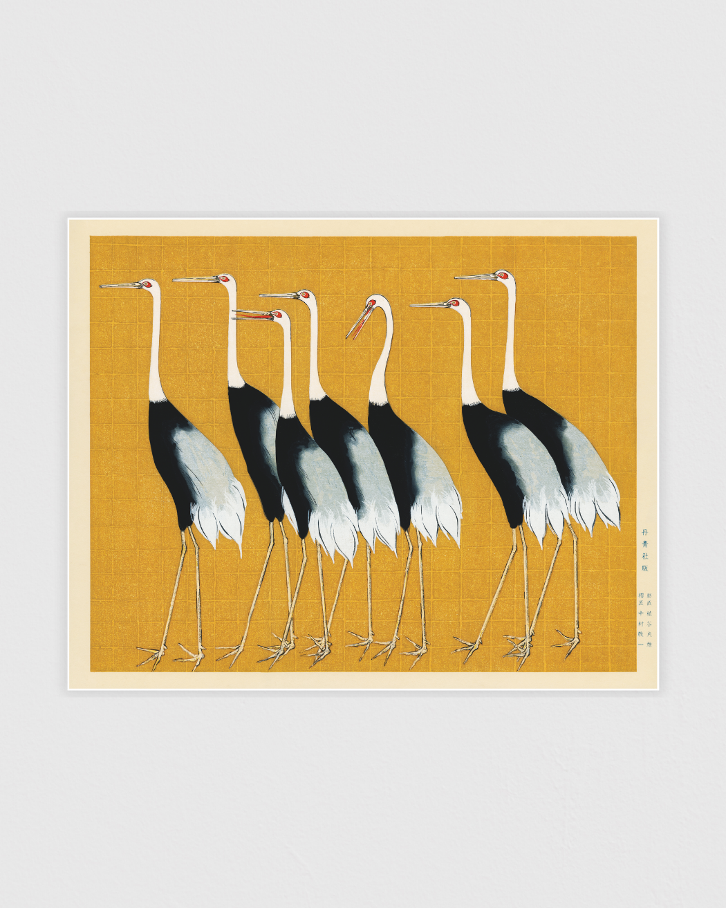 Bild på A traditional portrait of a flock of beautiful Japanese red crown crane