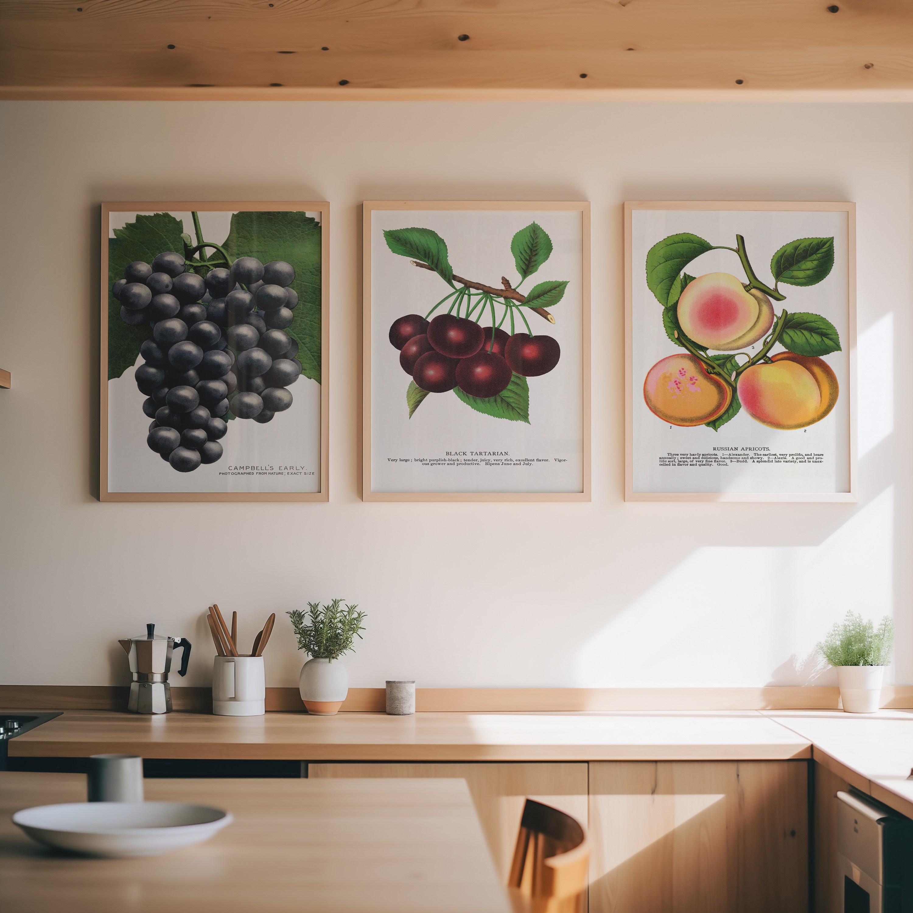 Vintage grafiskt Posterpaket