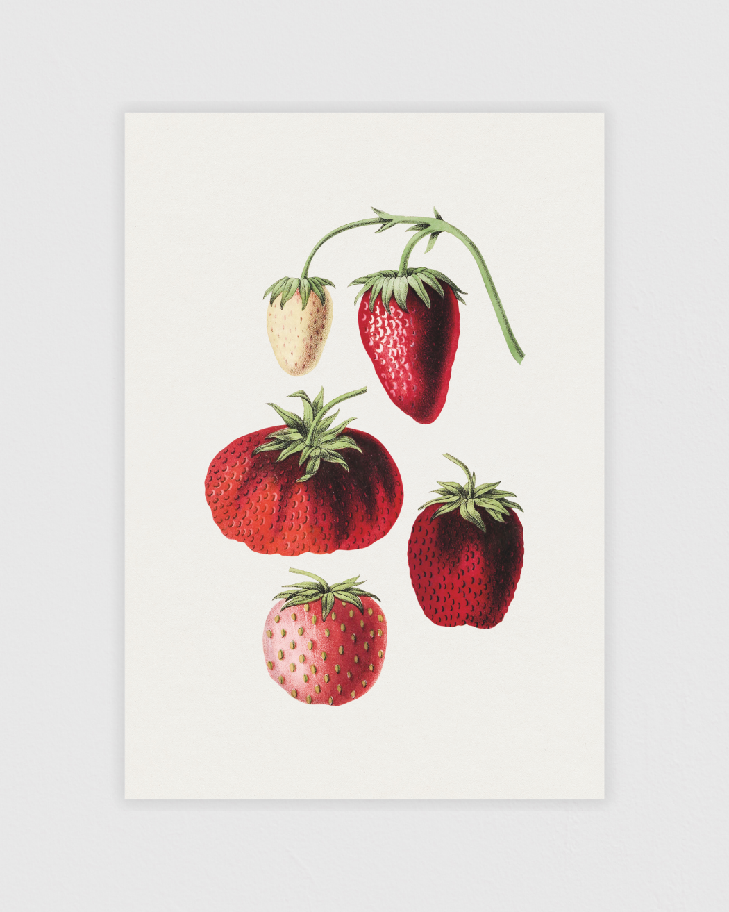 Bild på Hand drawn strawberry