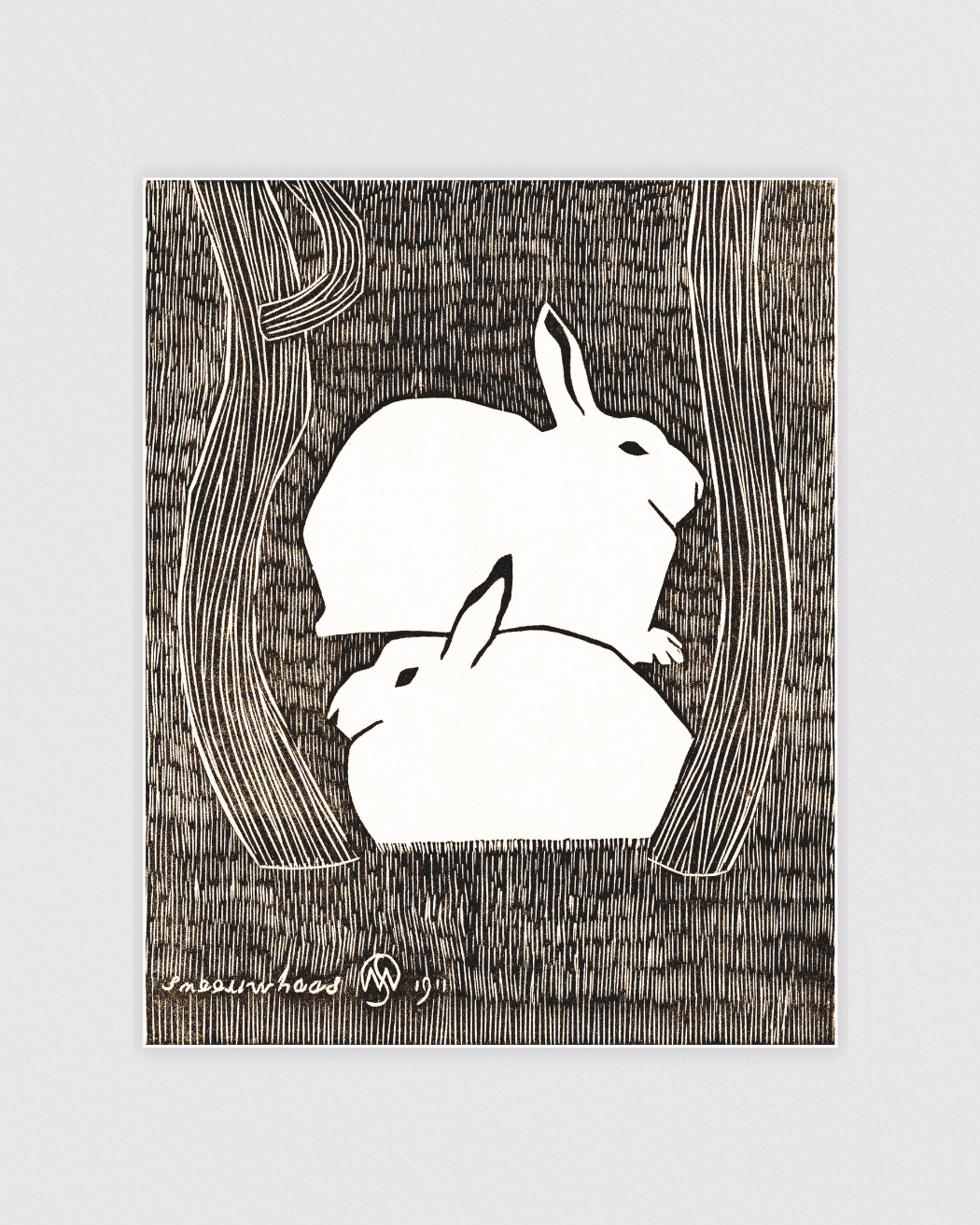 Bild på Twee sneeuwhazen