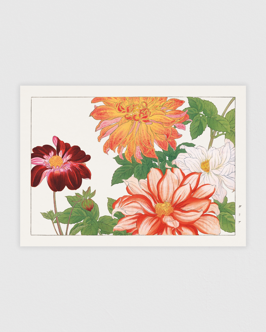 Bild på Dahlia flower