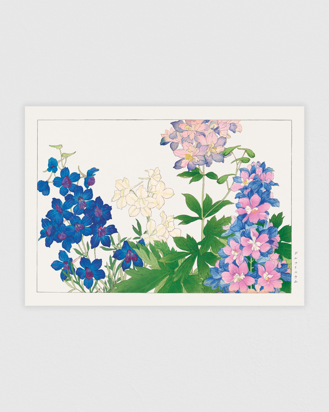 Bild på Delphinium flower