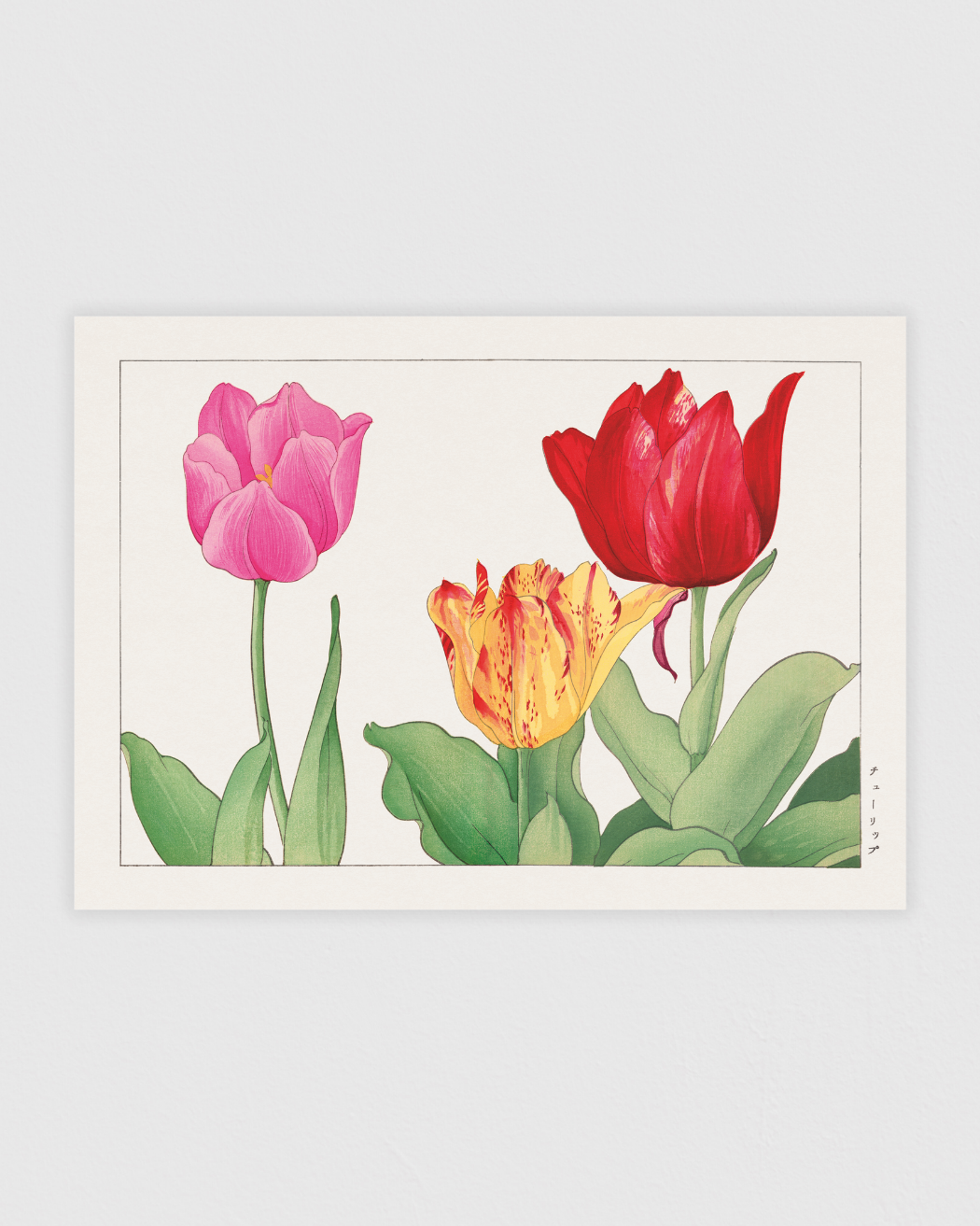 Bild på Tulip flower