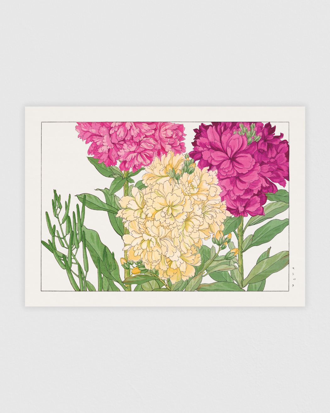 Bild på Stock flower