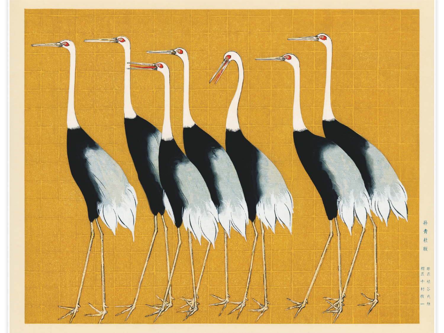 Bild på A traditional portrait of a flock of beautiful Japanese red crown crane