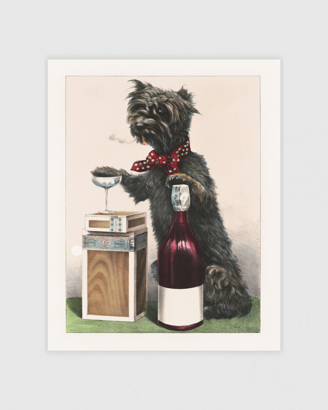 Bild på A jolly dog