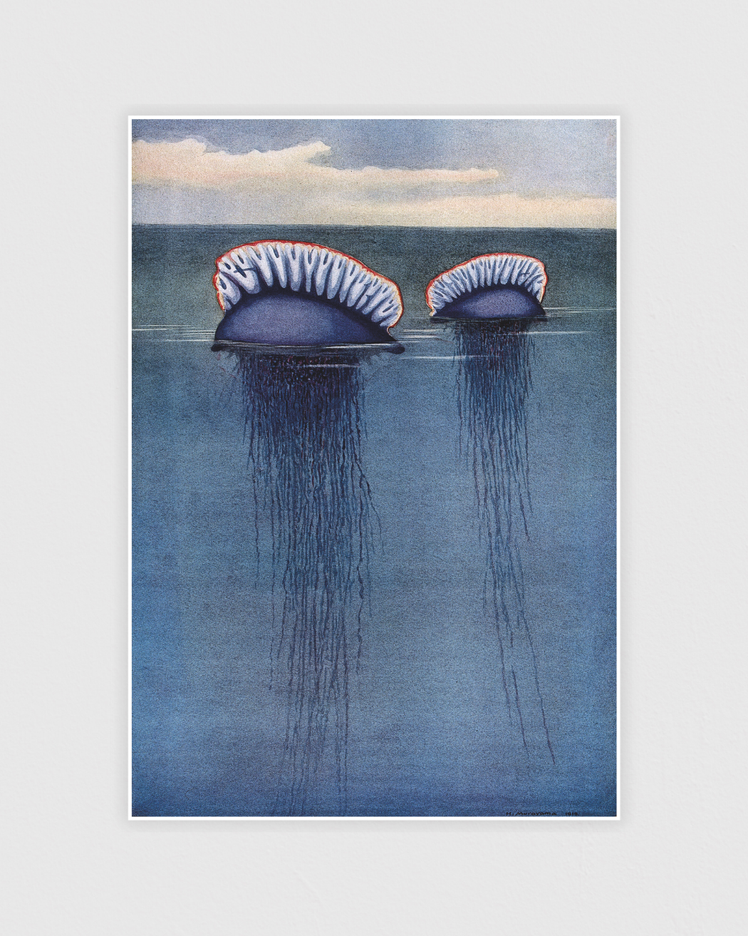 Bild på Two Portuguese man o’ war