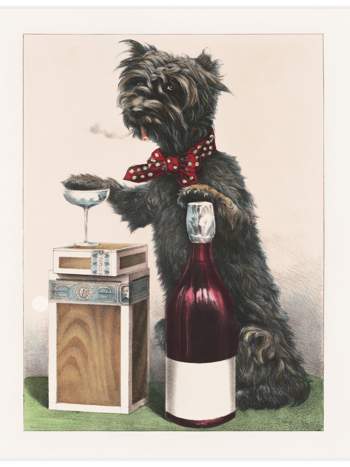 Bild på A jolly dog