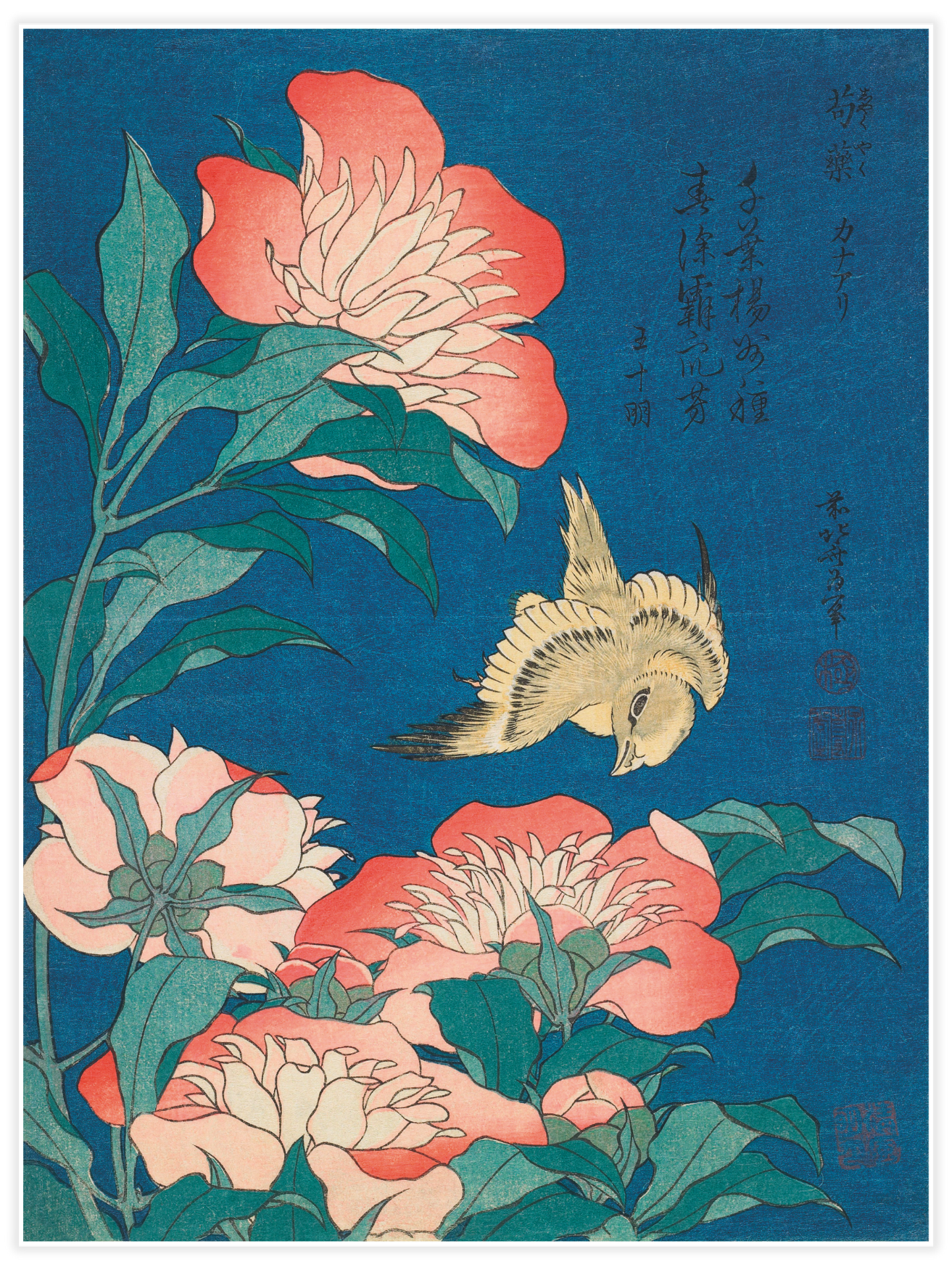 Bild på Peonies and Canary