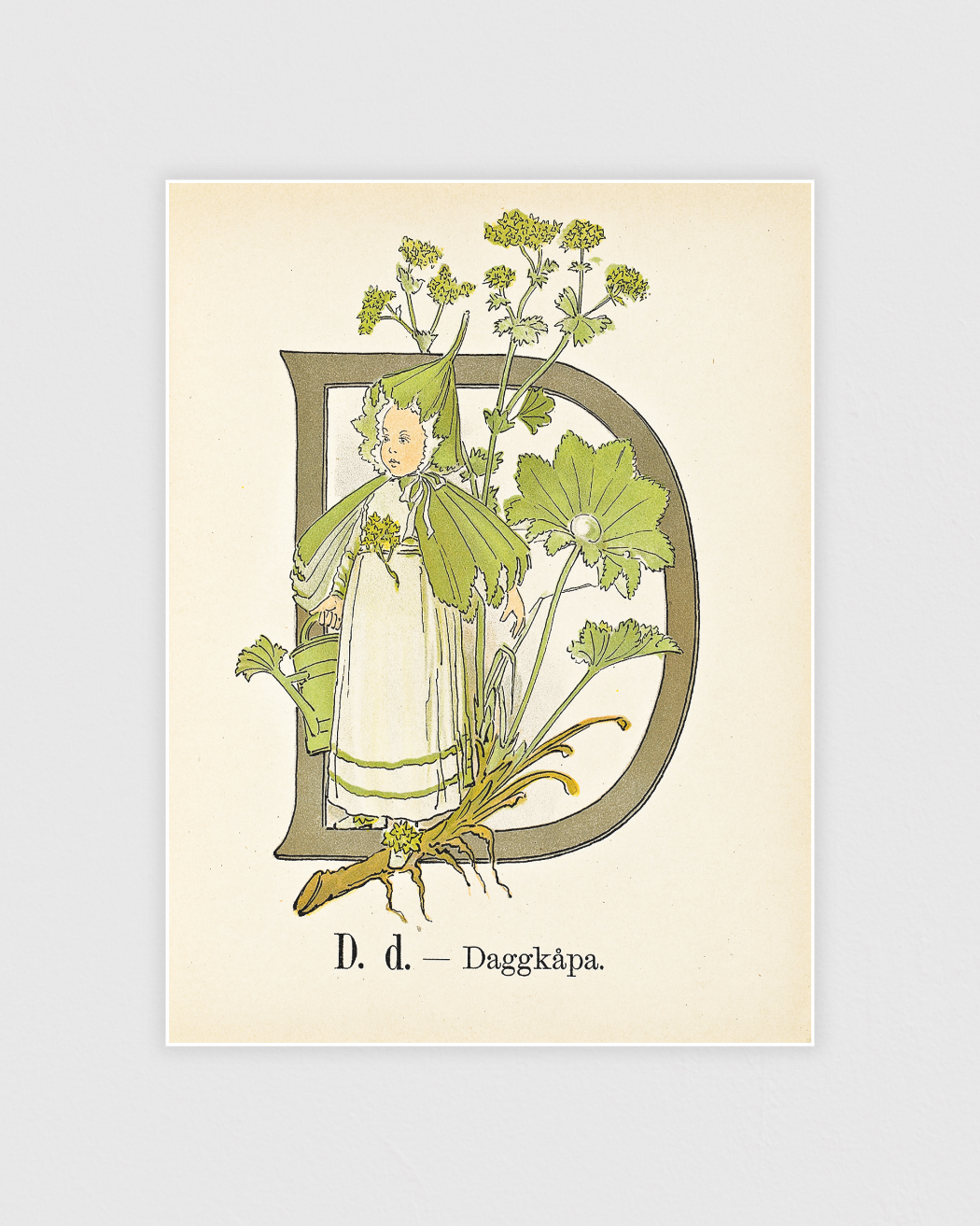 Bild på Prinsarnes blomsteralfabet - D