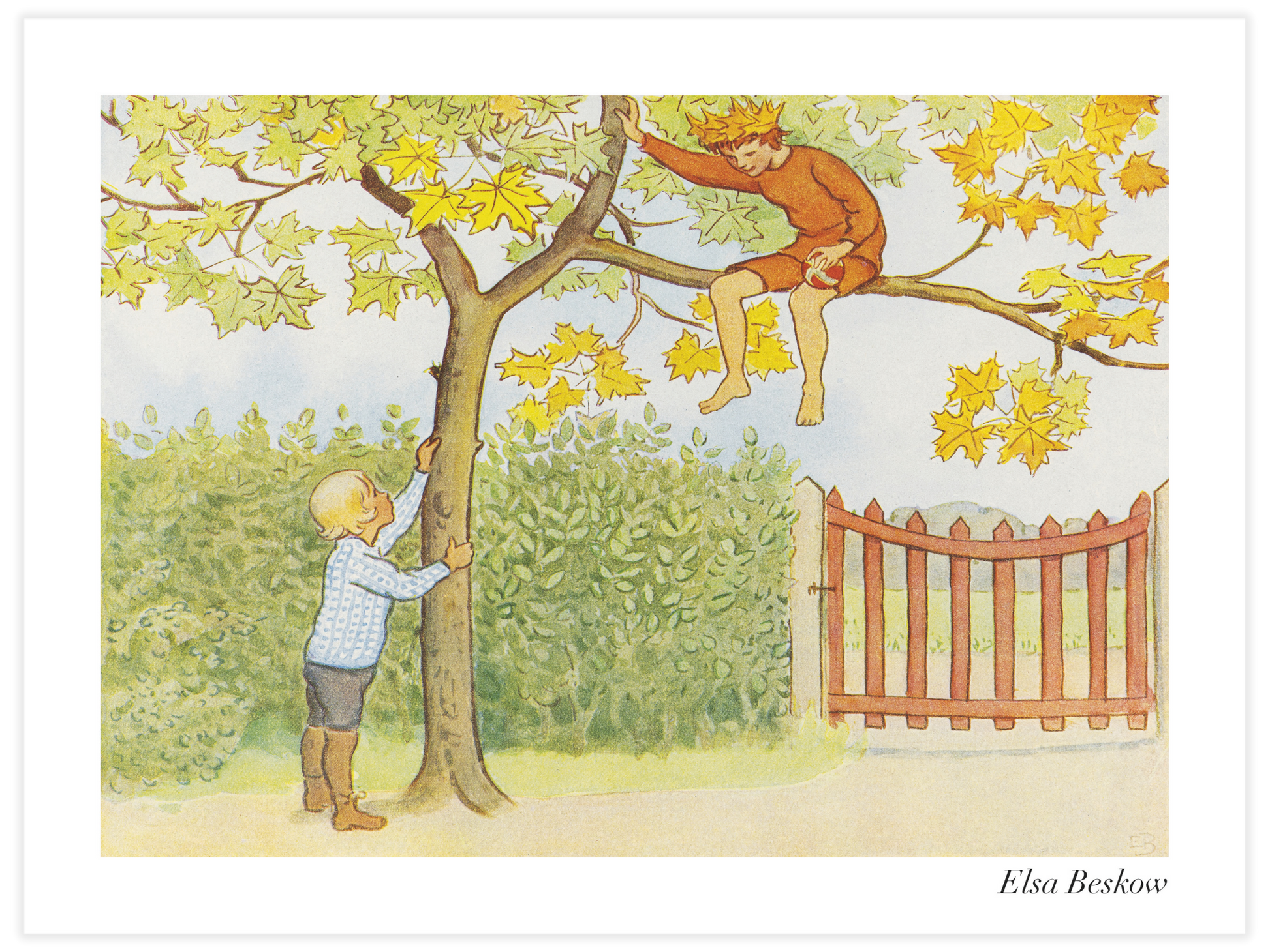 Bild på Lasse-liten i Trädgården - Gossen i trädet