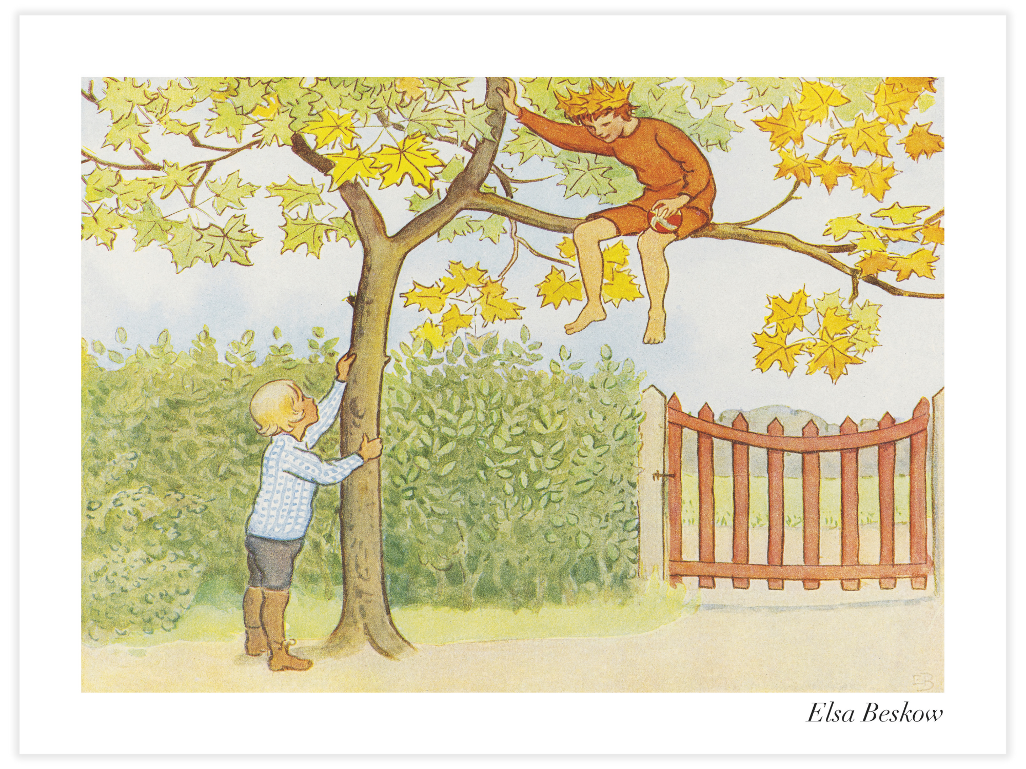 Bild på Lasse-liten i Trädgården - Gossen i trädet