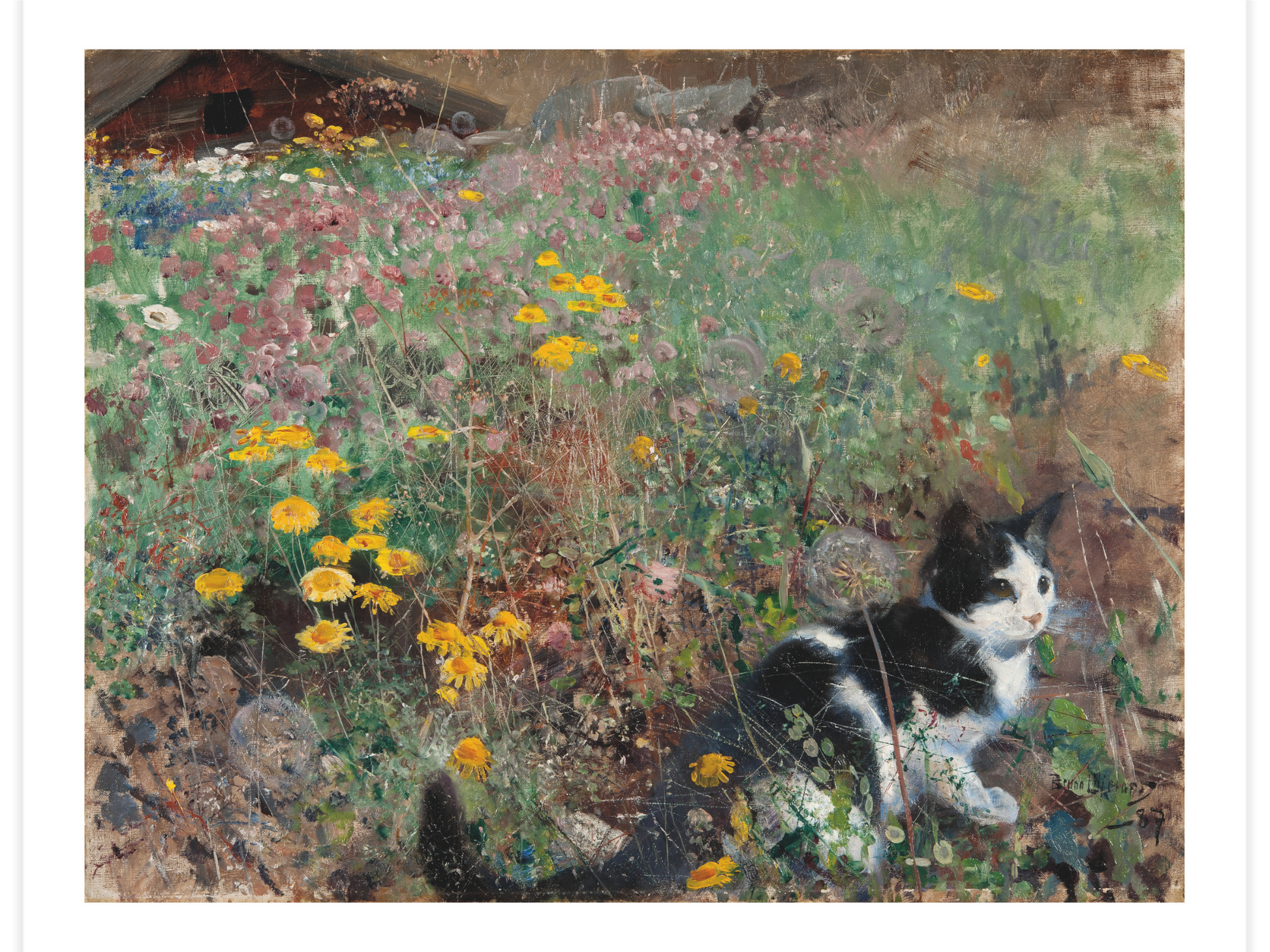 Bild på Katt på blomsteräng