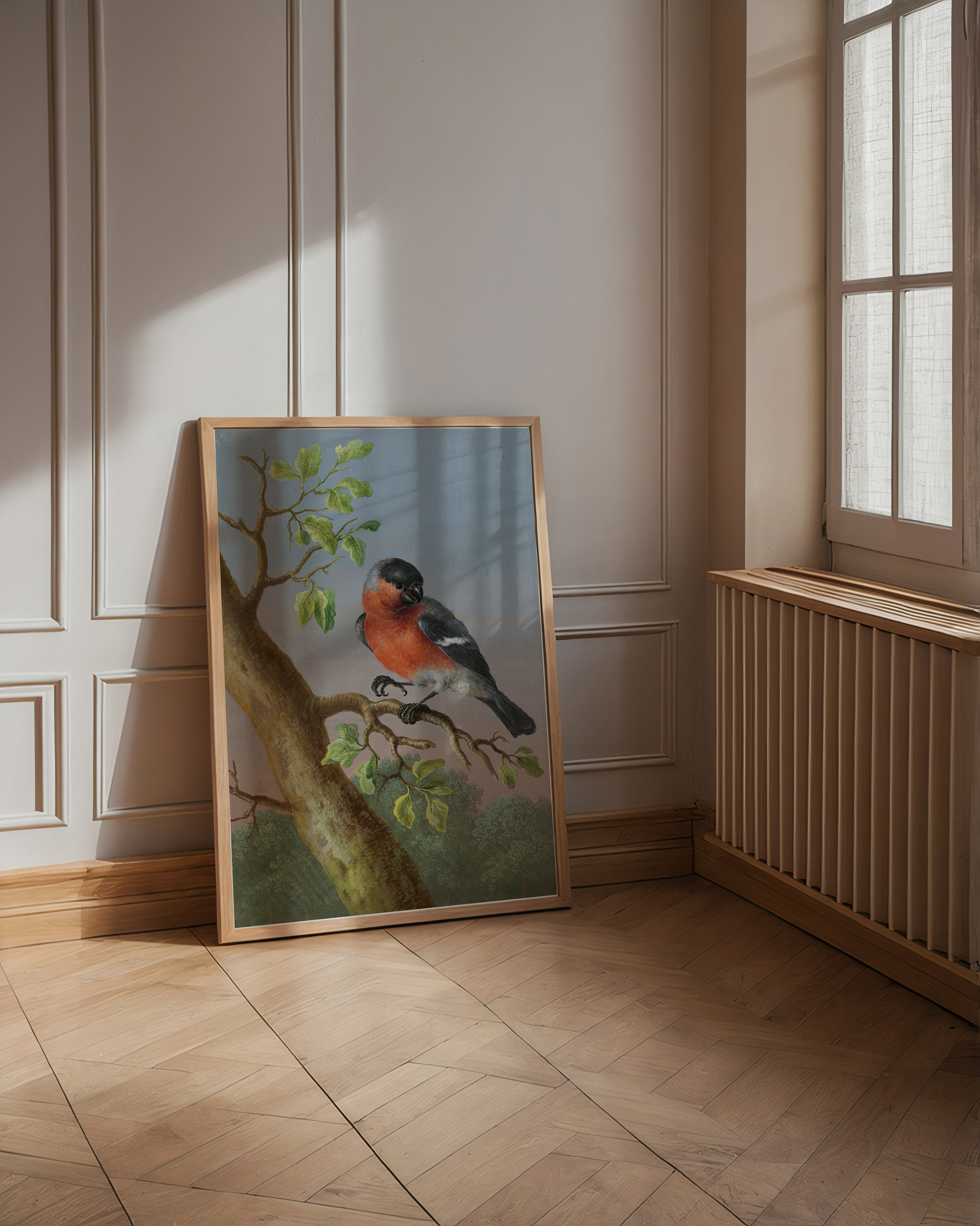 Bild på Eurasian Bullfinch