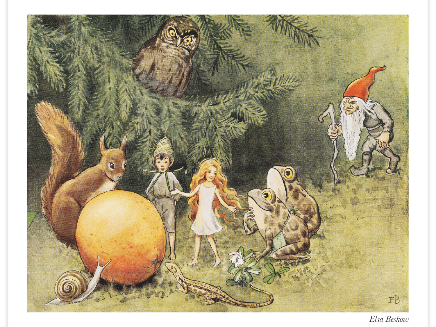 Bild på Solägget - Kotte med nyfikna vänner