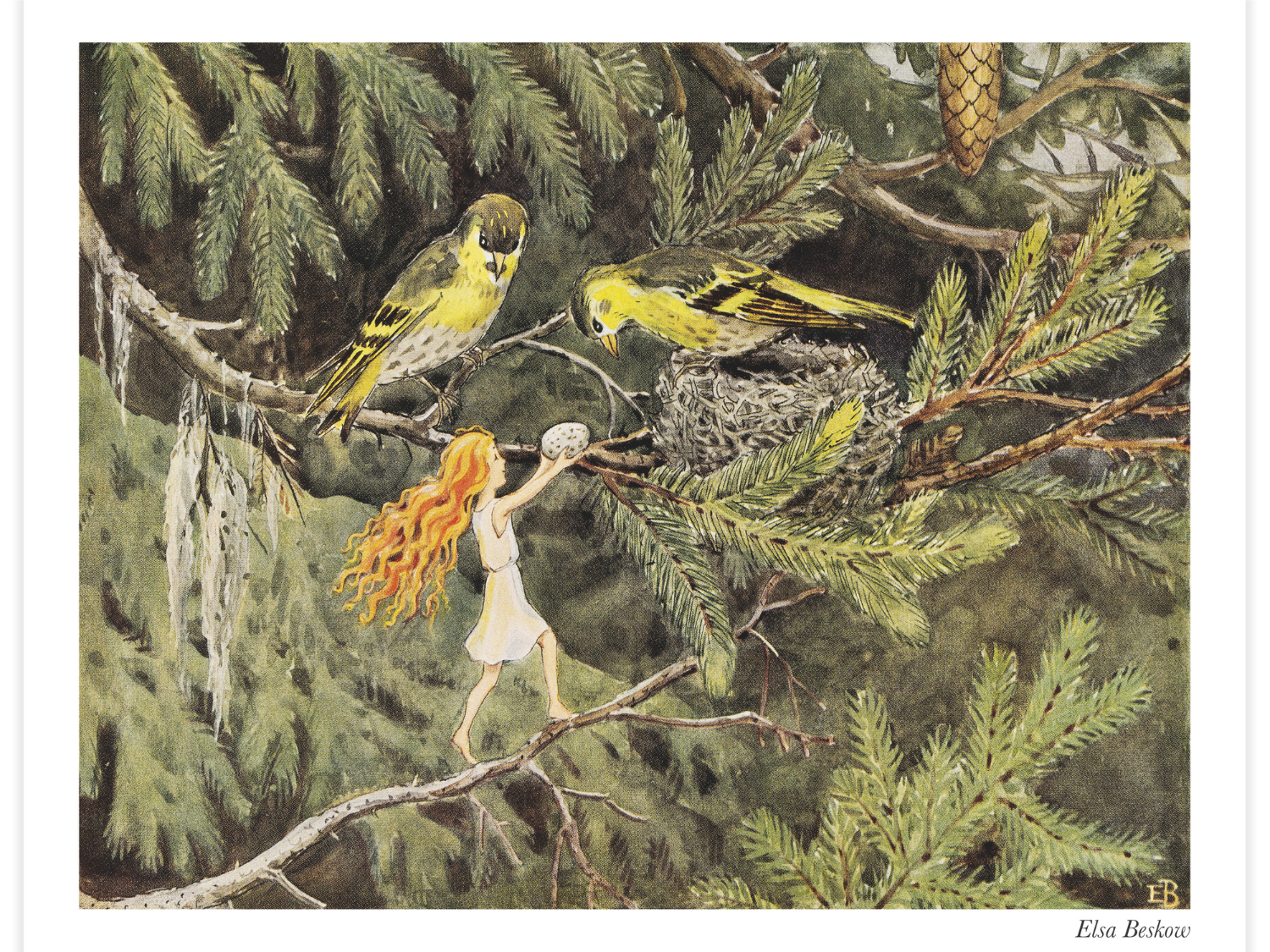 Bild på Solägget - Älvan och småfåglarna i skogen