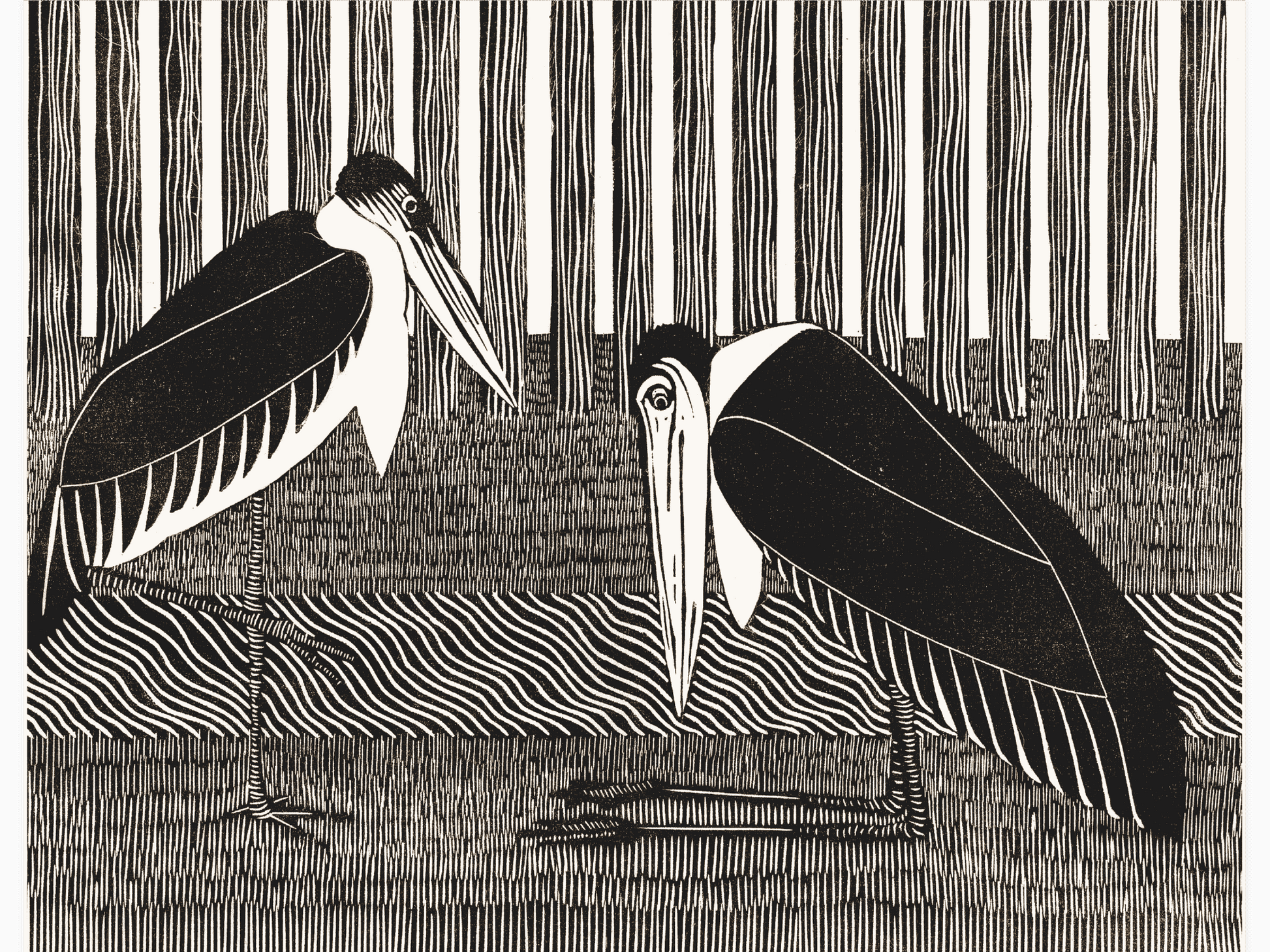 Bild på Twee maraboes