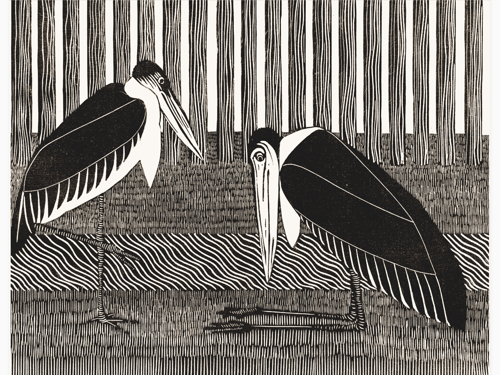 Bild på Twee maraboes